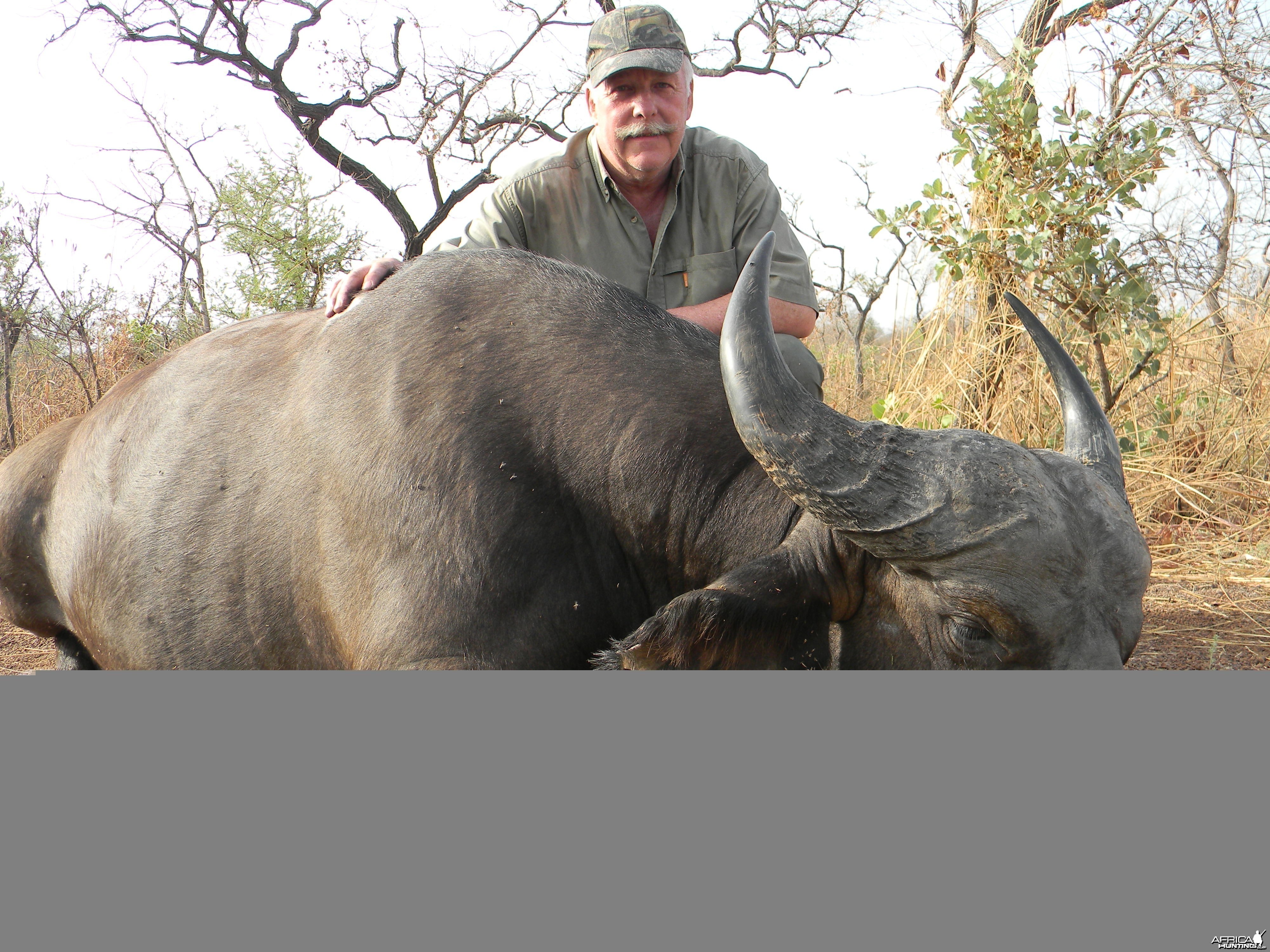 West African Savannah Buffalo hunted in Benin with Club Faune