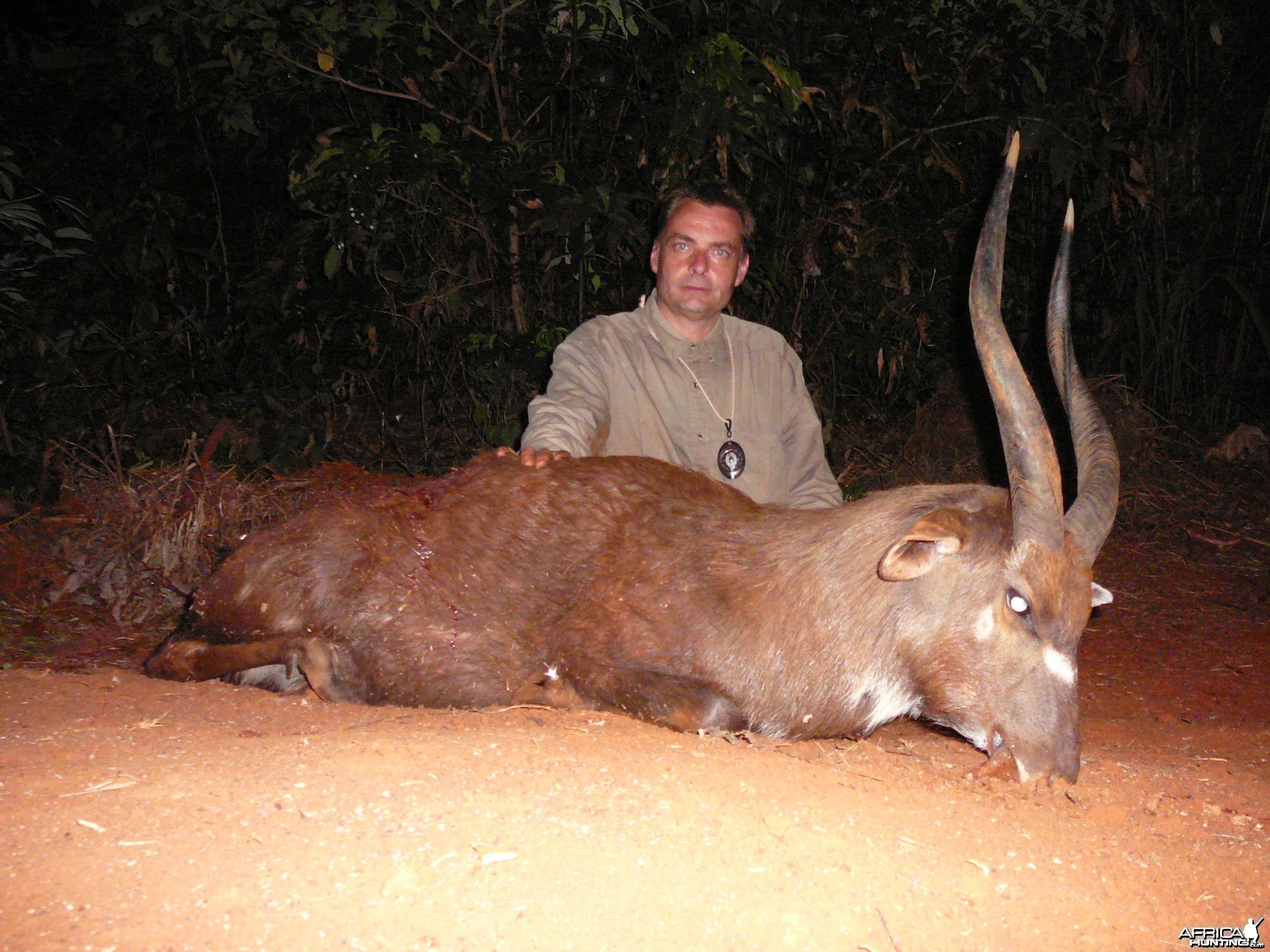 Western Sitatunga hunted in Cameroon with Club Faune