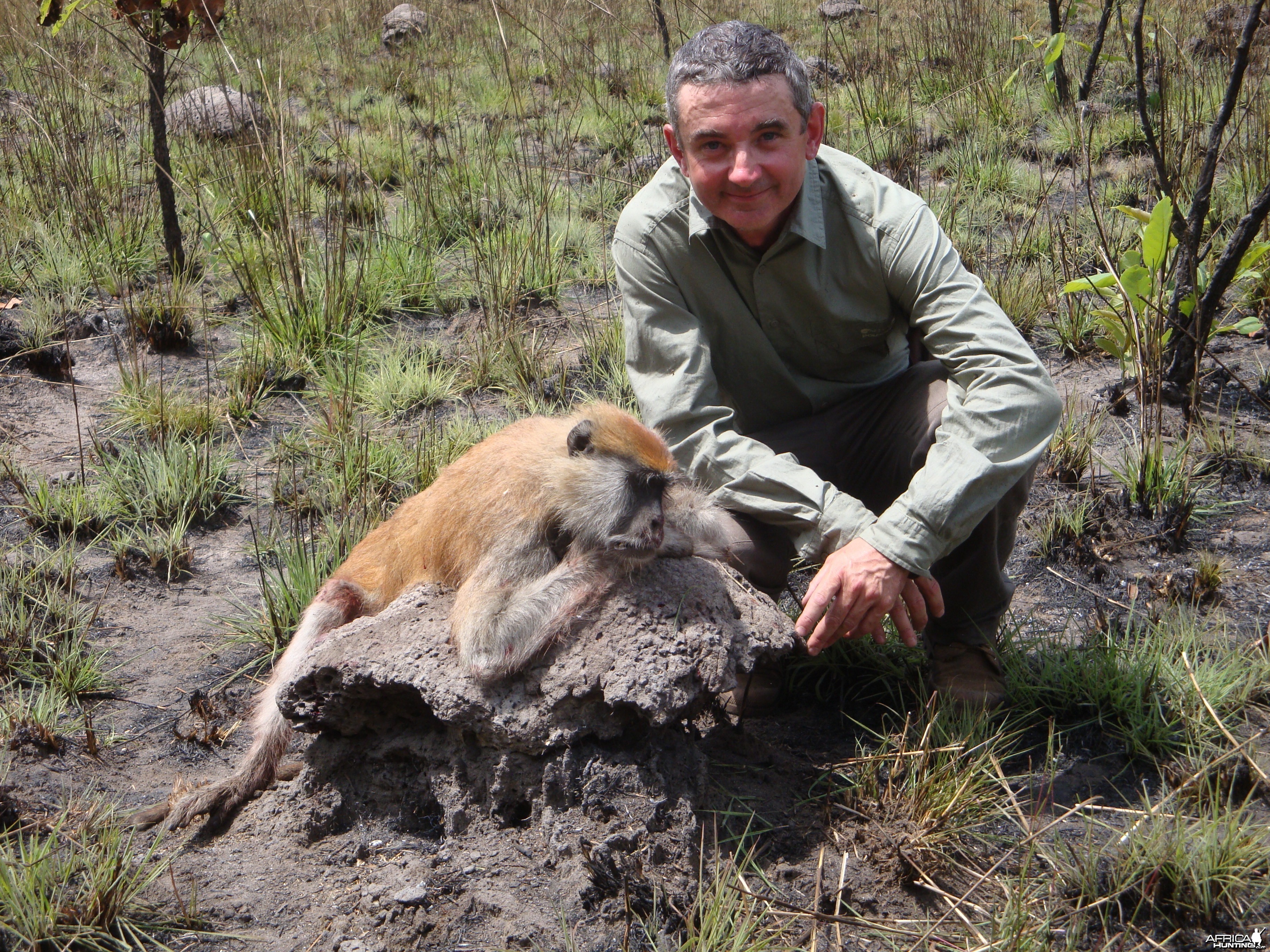 Monkey hunted in Central Africa with Club Faune