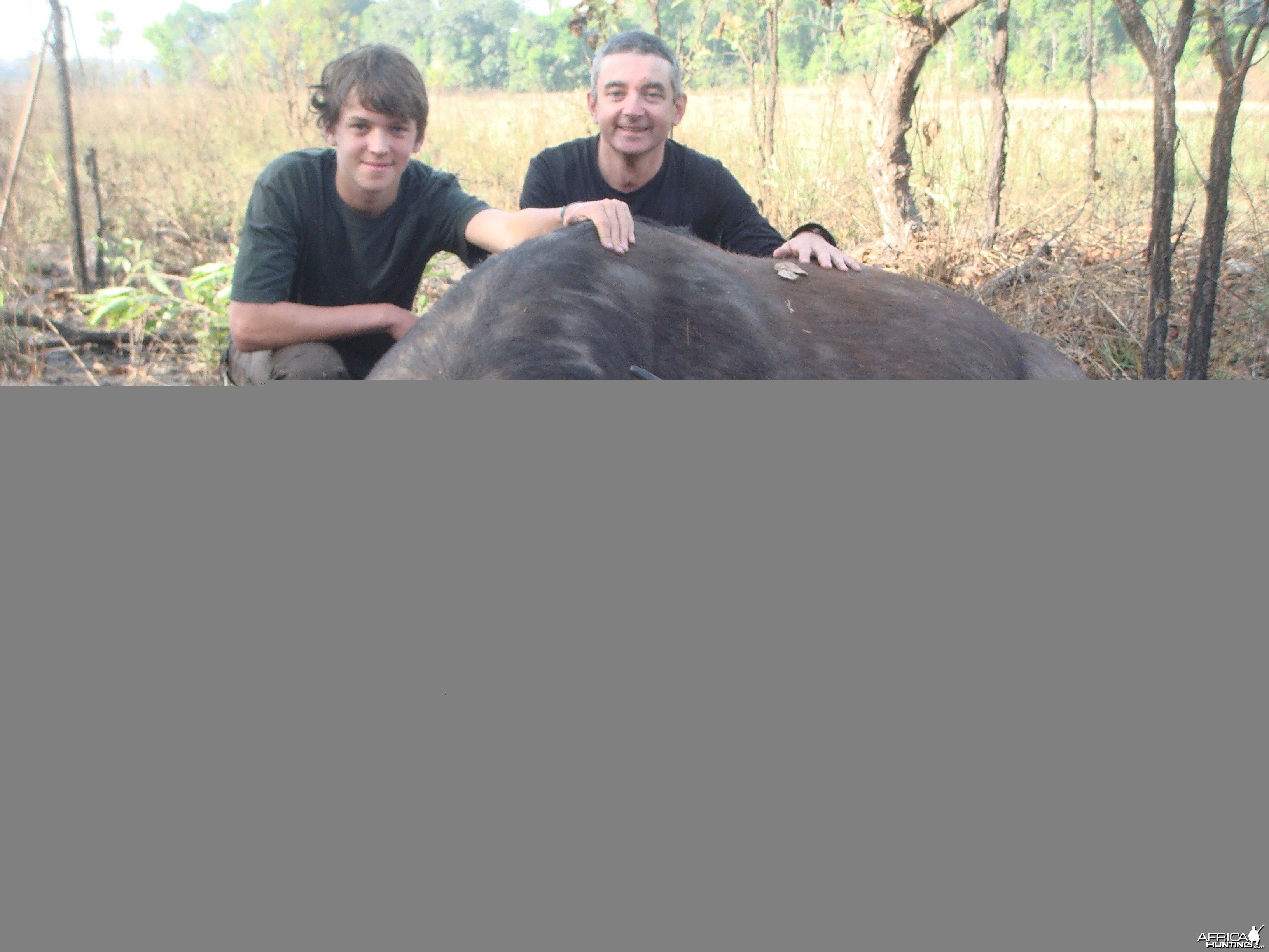 Central African Savannah Buffalo hunted in Central Africa with Club Faune