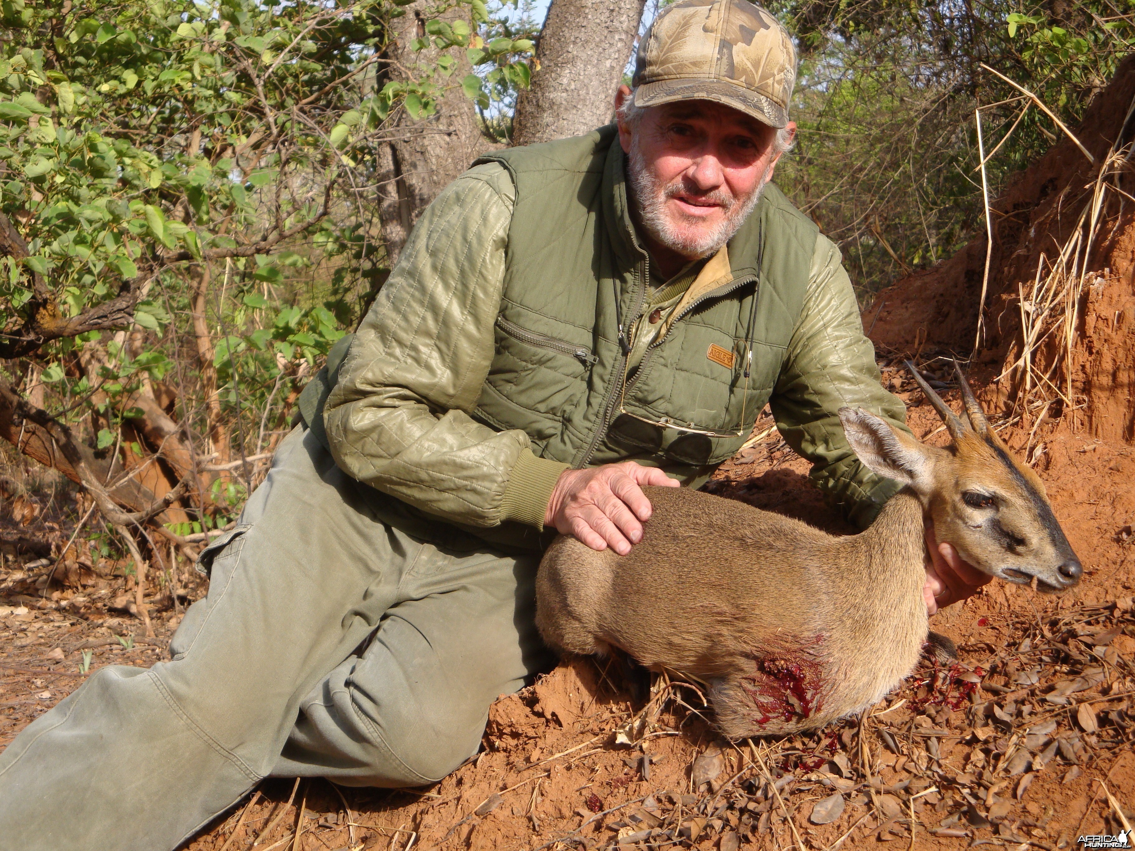 Duiker hunted in Central Africa with Club Faune