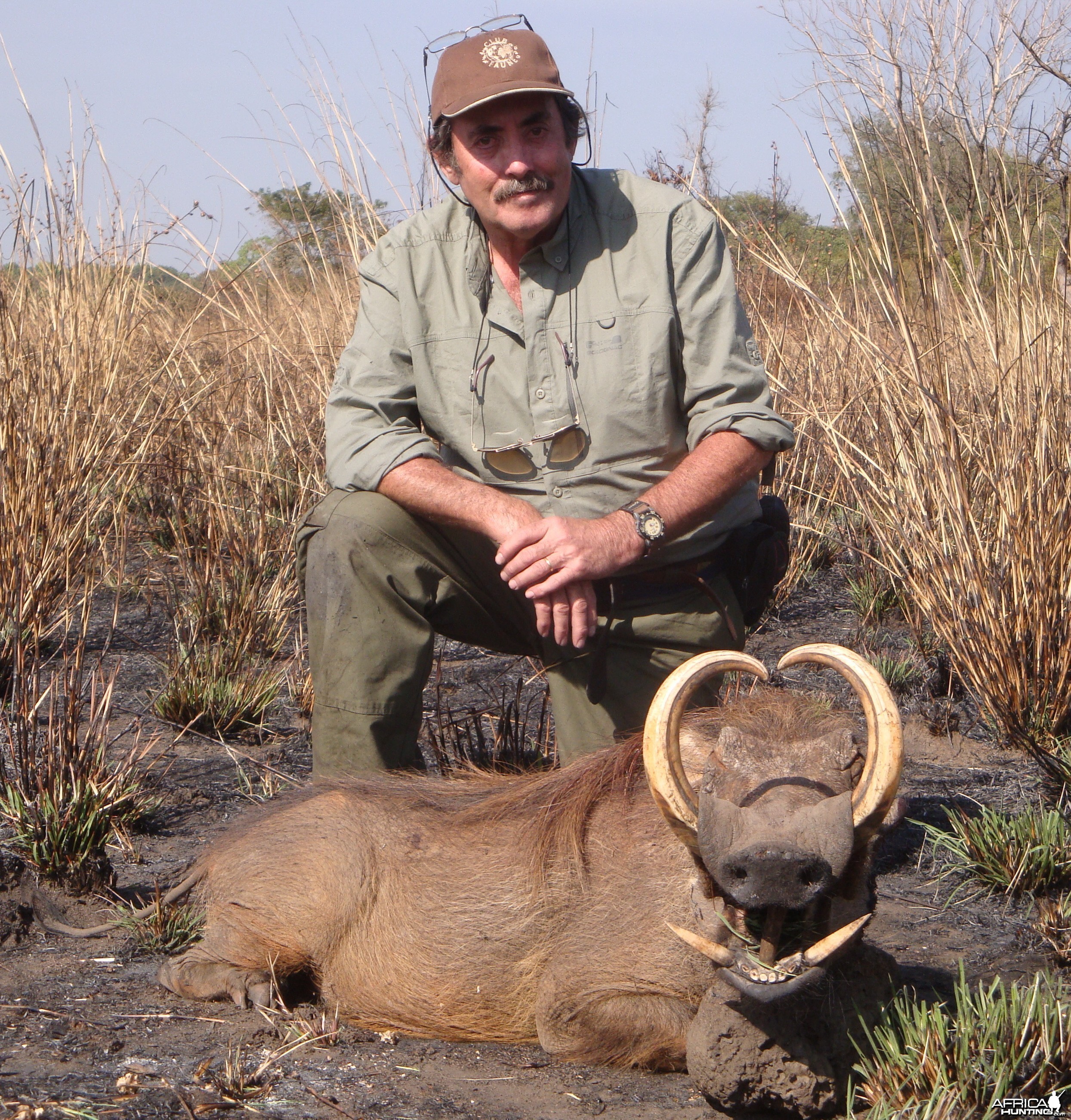 Warthog hunted in Central Africa with Club Faune