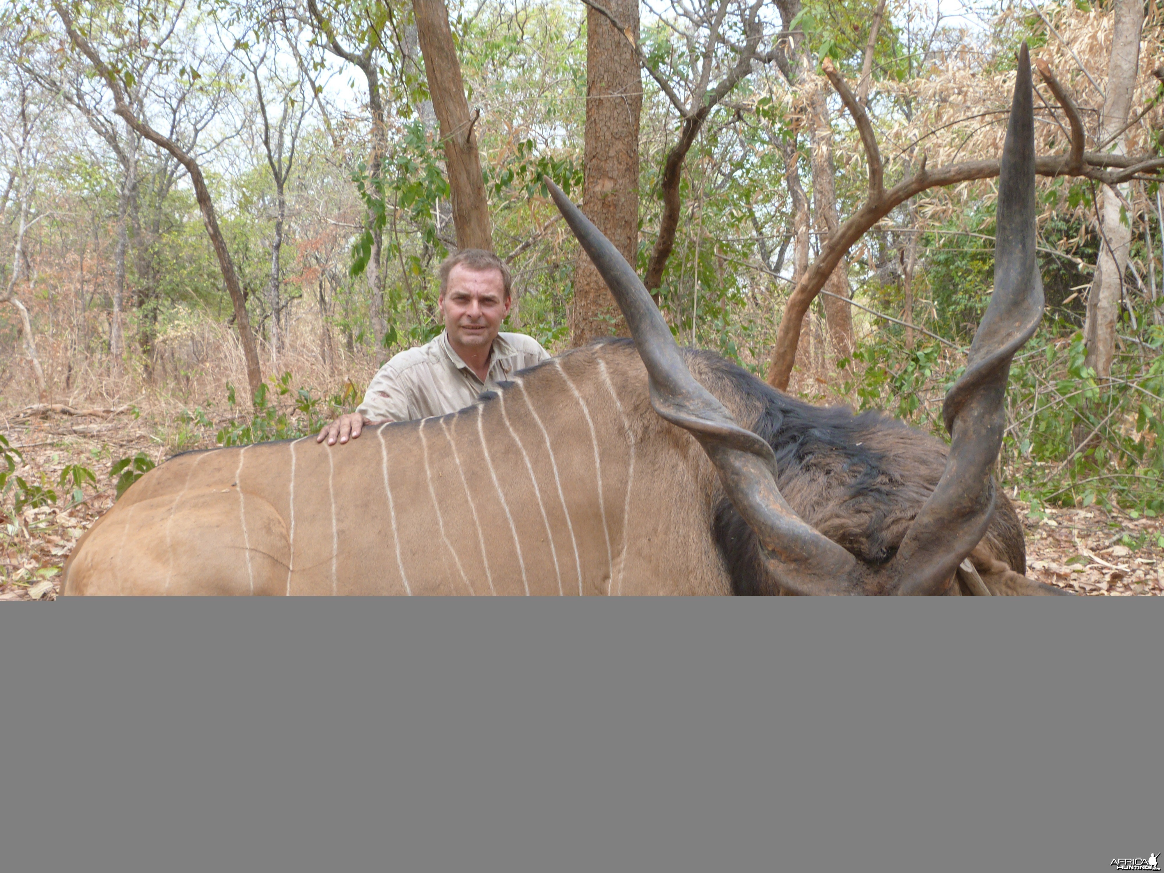 Lord Derby Eland hunted in Central Africa with Club Faune