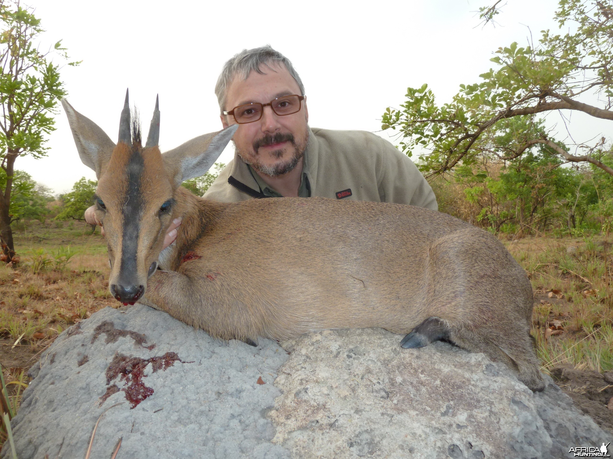 Duiker hunted in Central Africa with Club Faune