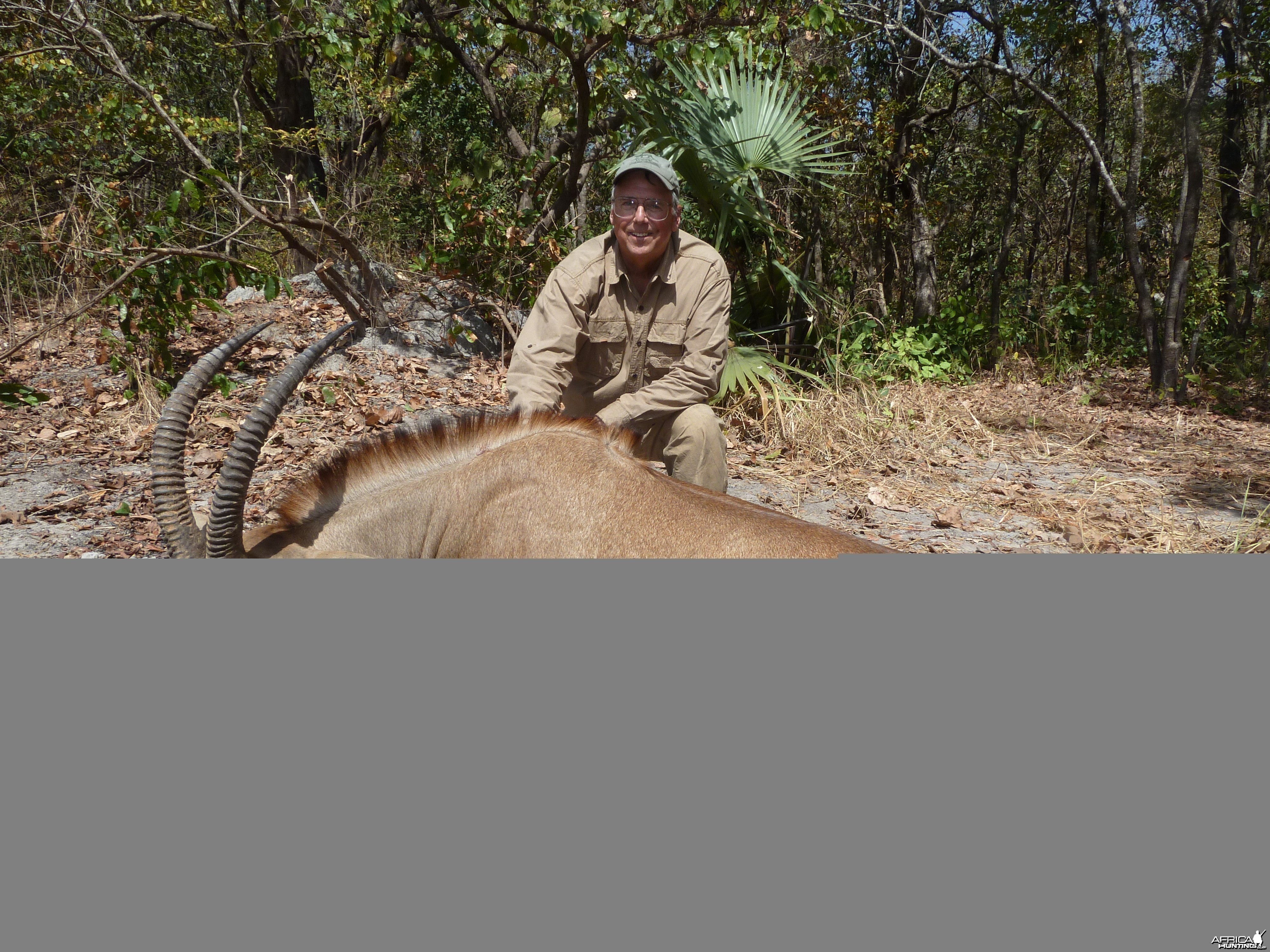 Roan Antelope hunted in Central Africa with Club Faune