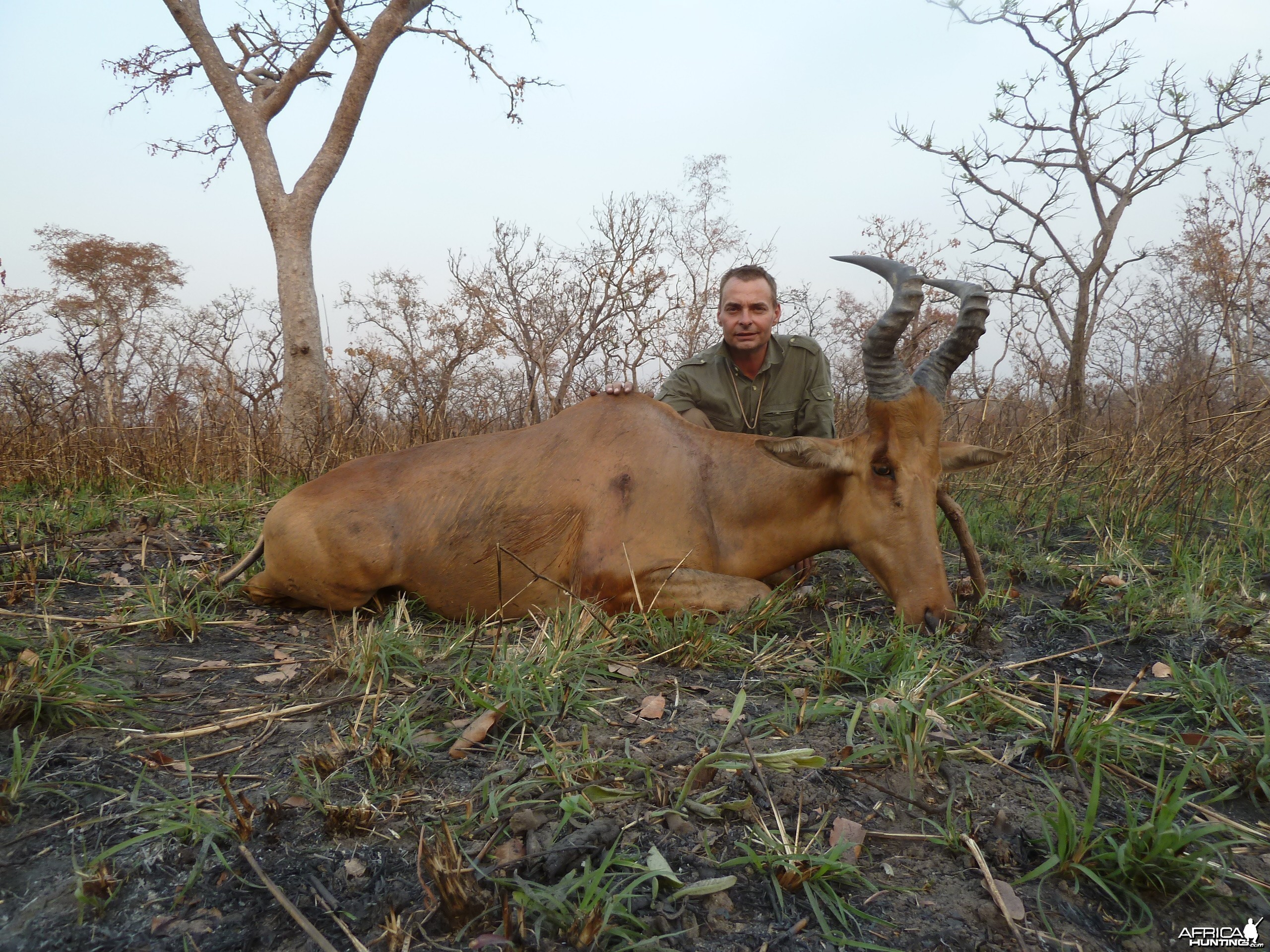 Lelwel Hartebeest hunted in Central Africa with Club Faune