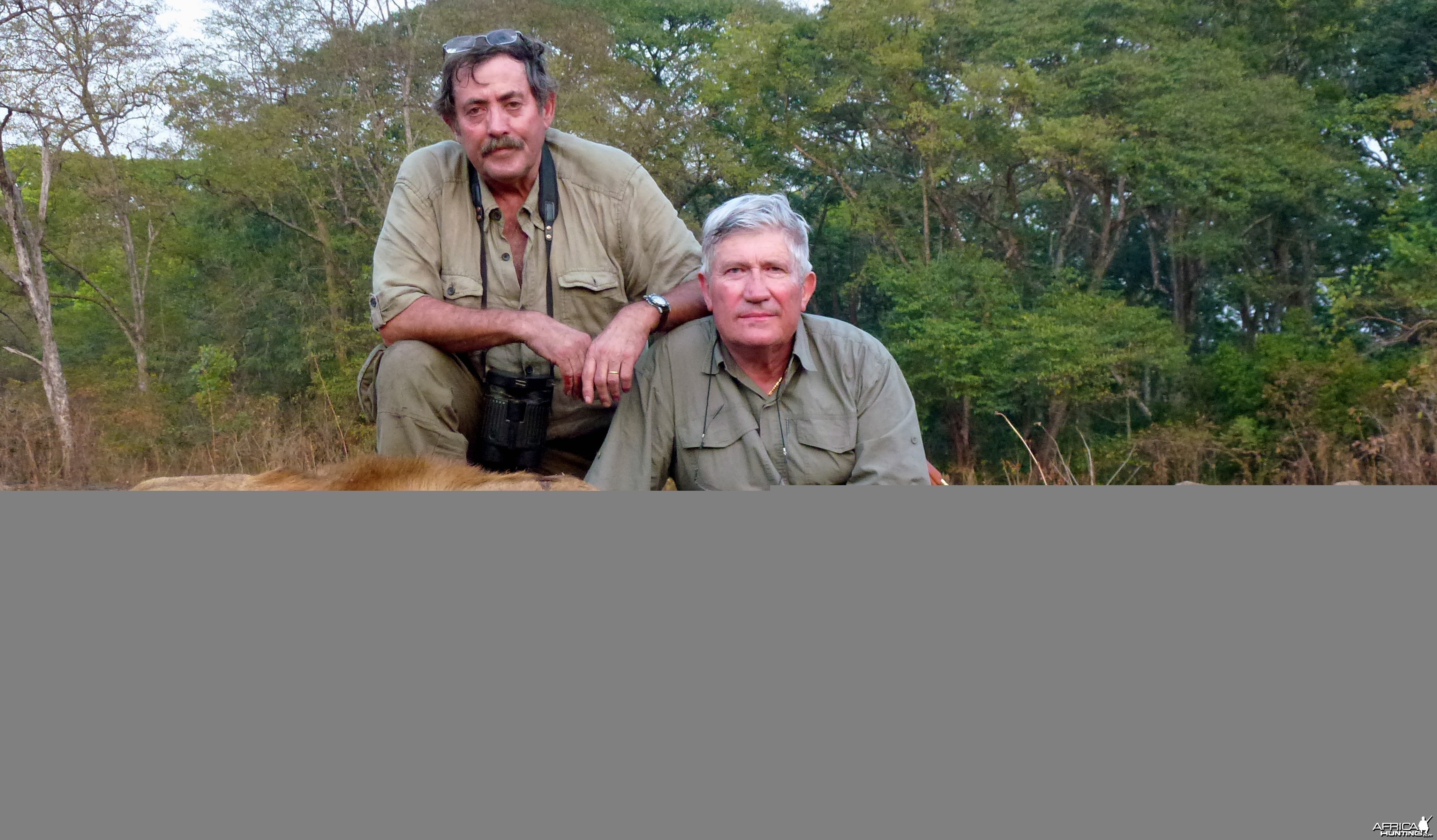 Lion hunted in Central Africa with Club Faune