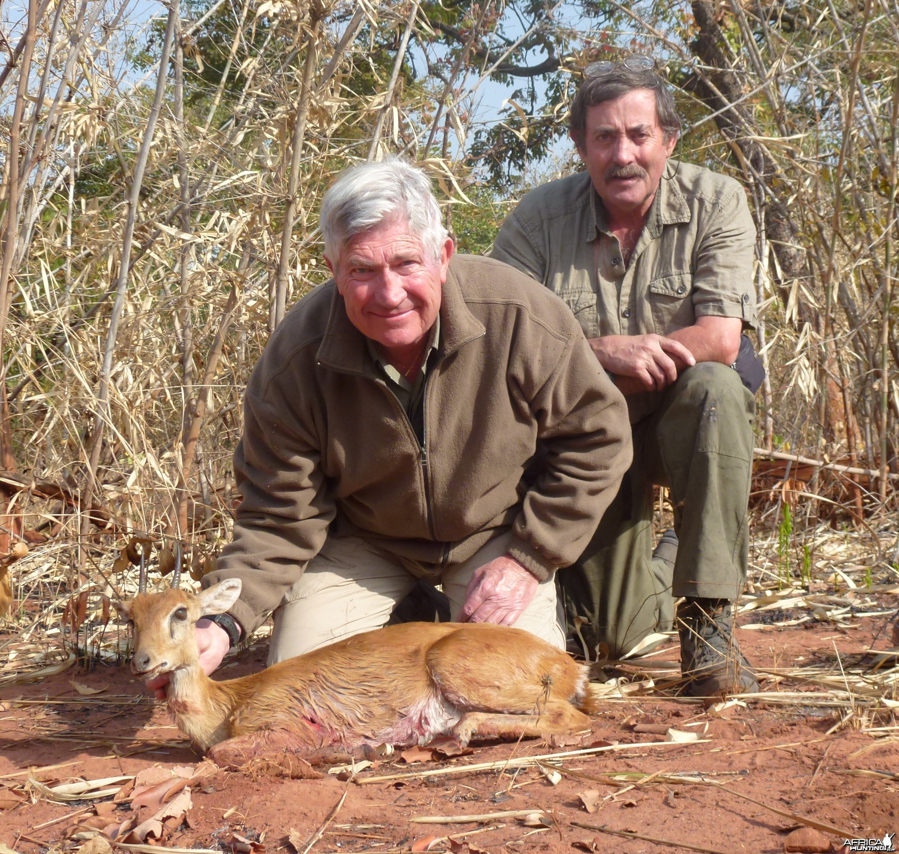 Oribi hunted in Central Africa with Club Faune