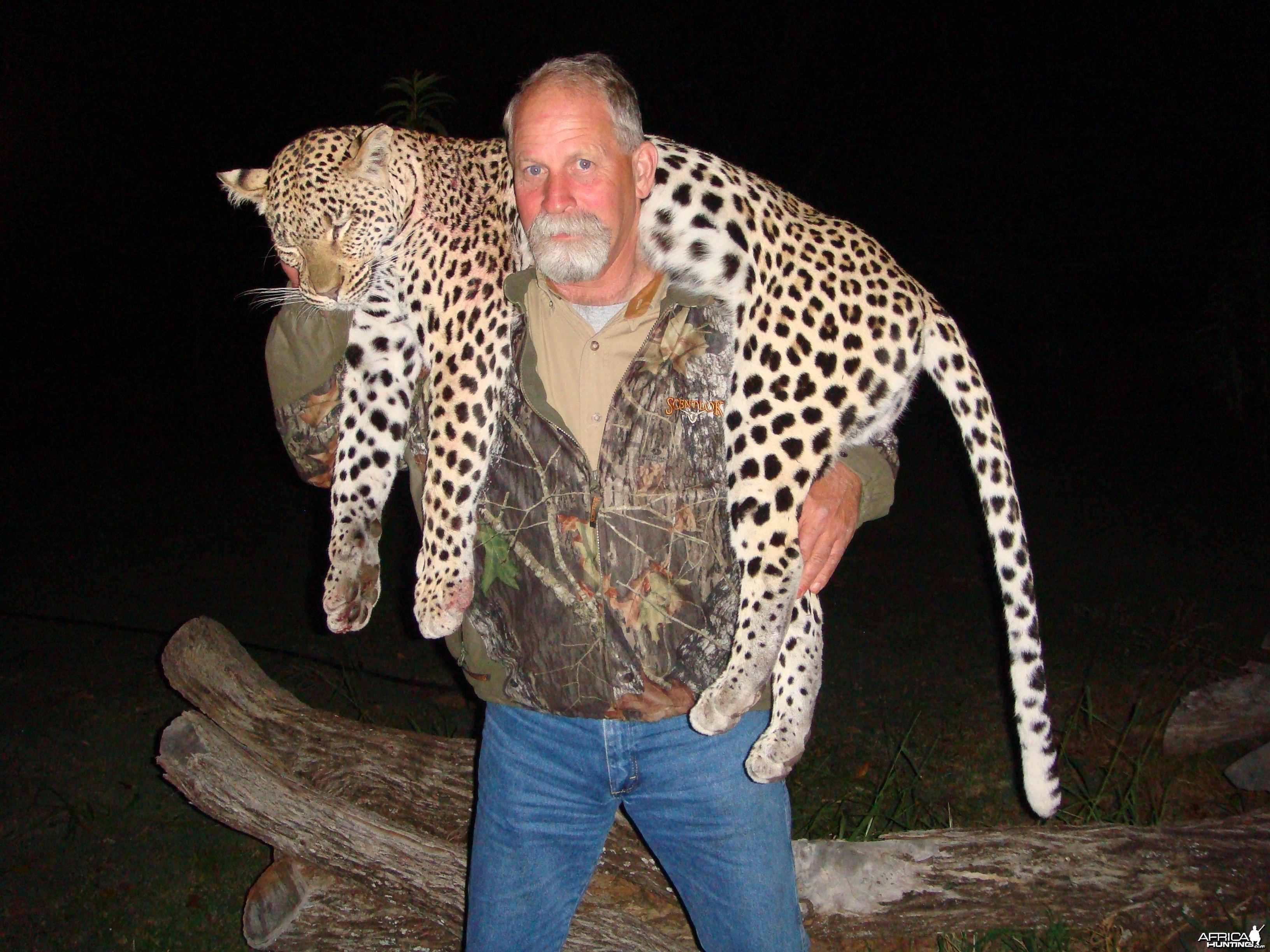 Nice leopard taken in Waterberg !