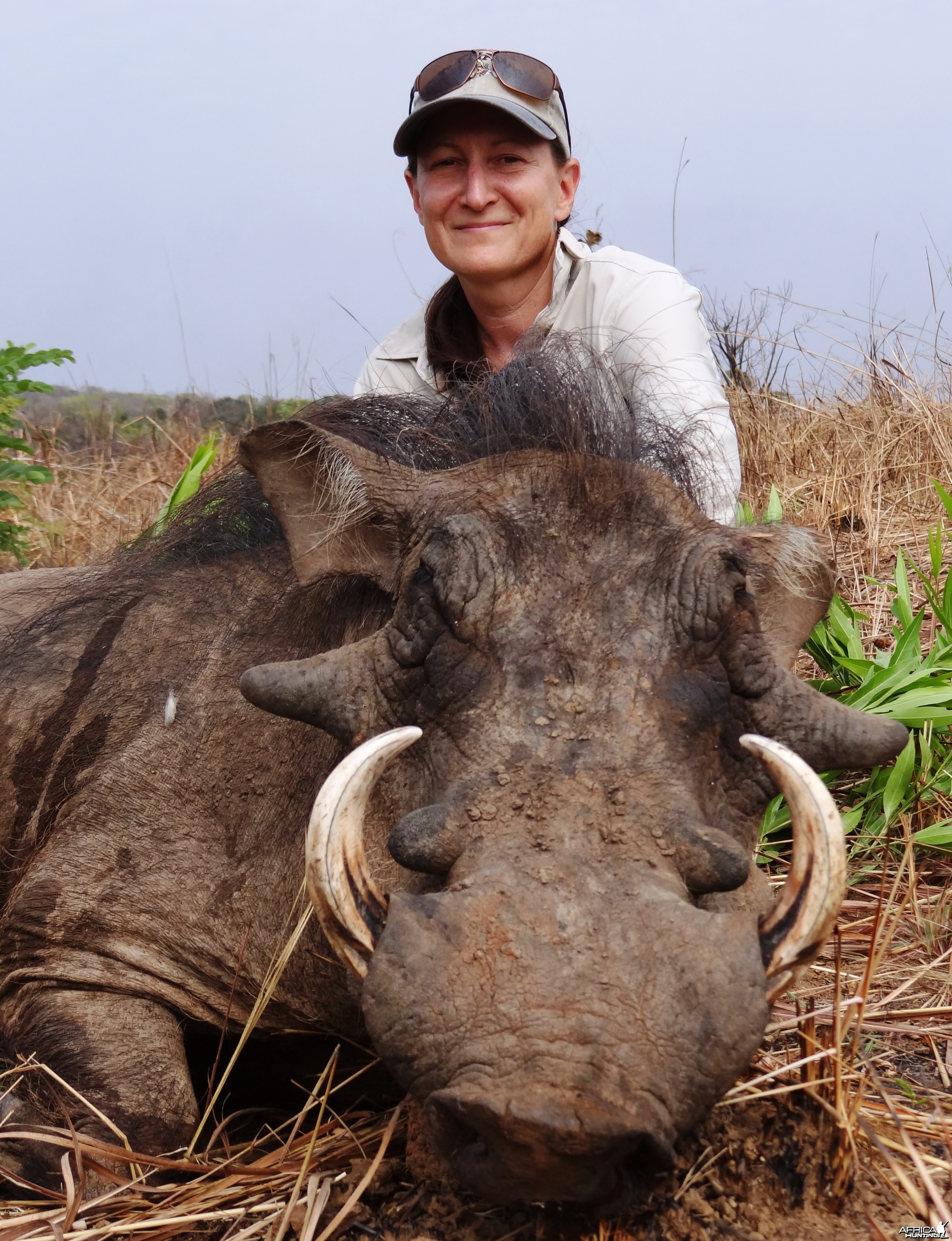 Warthog hunted in CAR