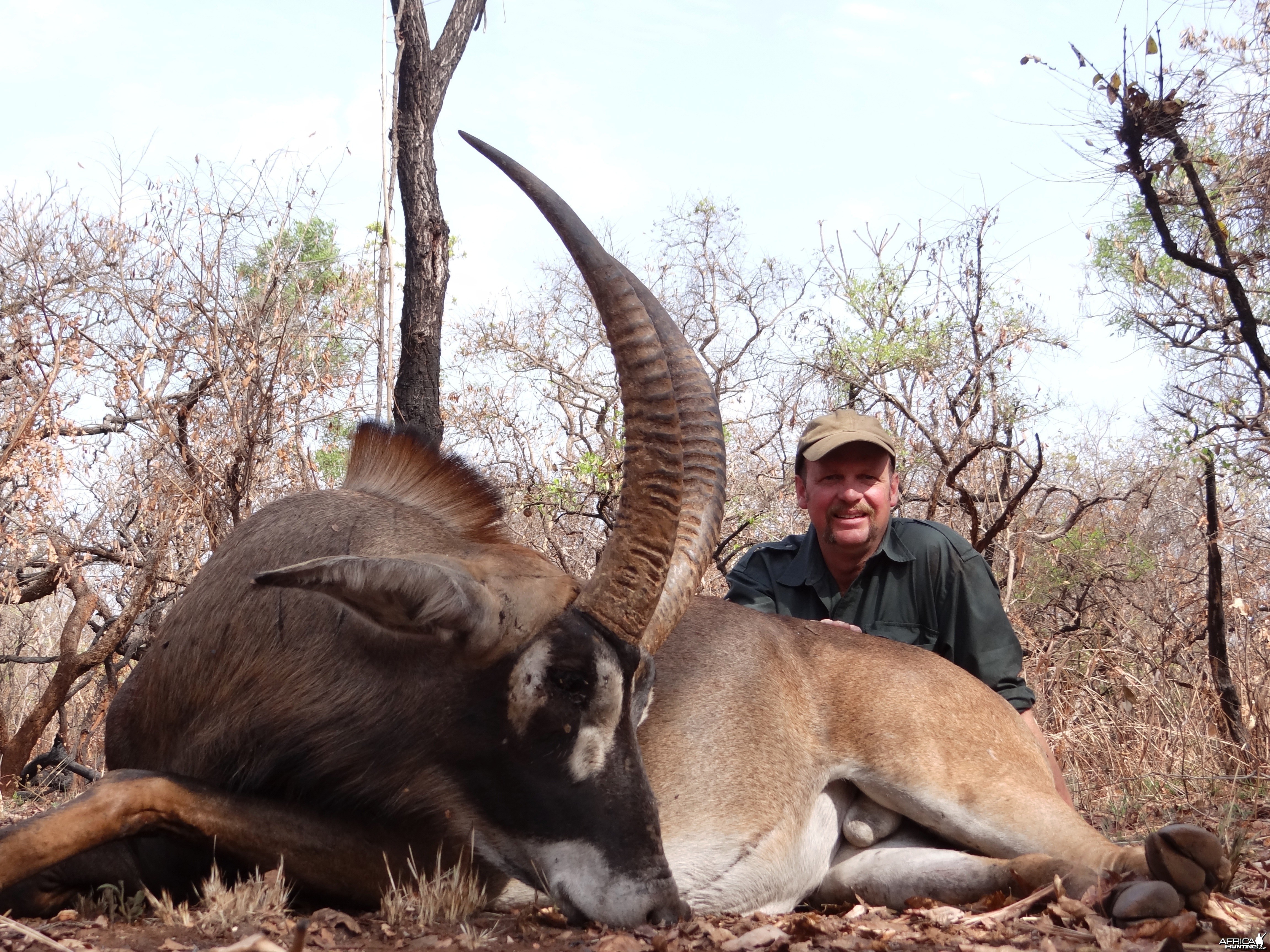 Roan Antelope hunted in CAR