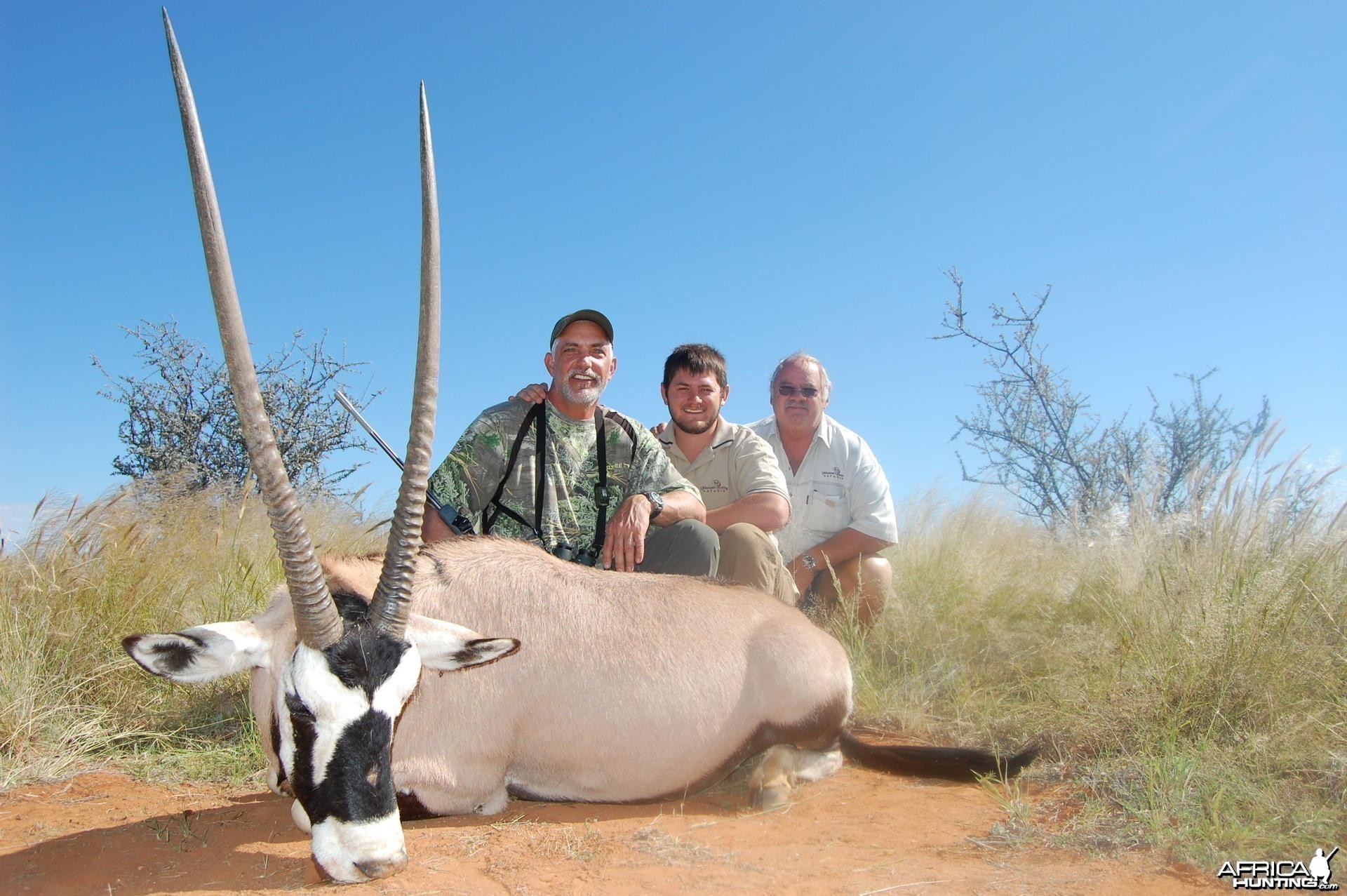 Gemsbok Namibia