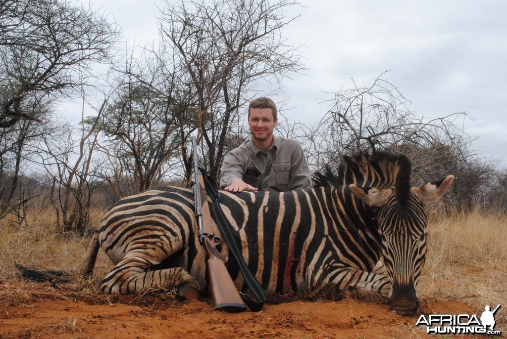 Zebra - Spiral Horn Safaris