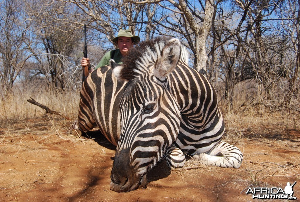 Zebra - Spiral Horn Safaris