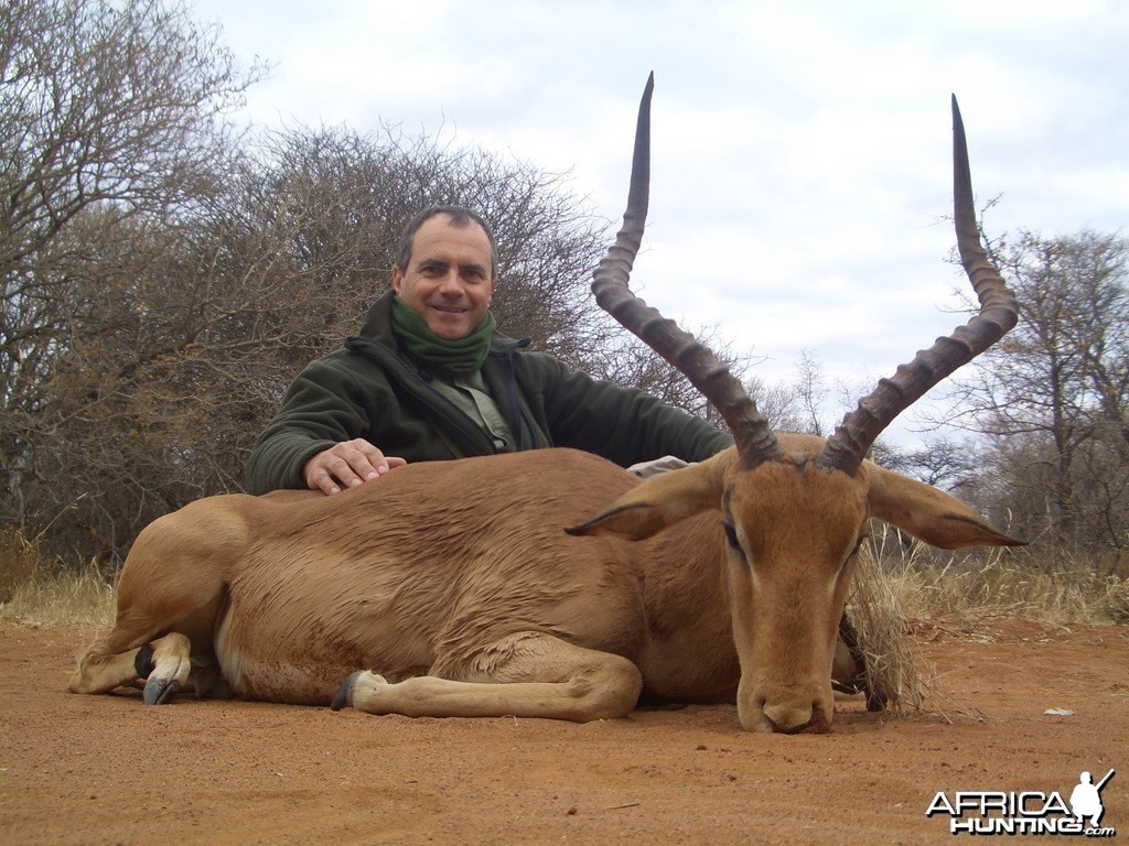 Impala - Spiral Horn Safaris