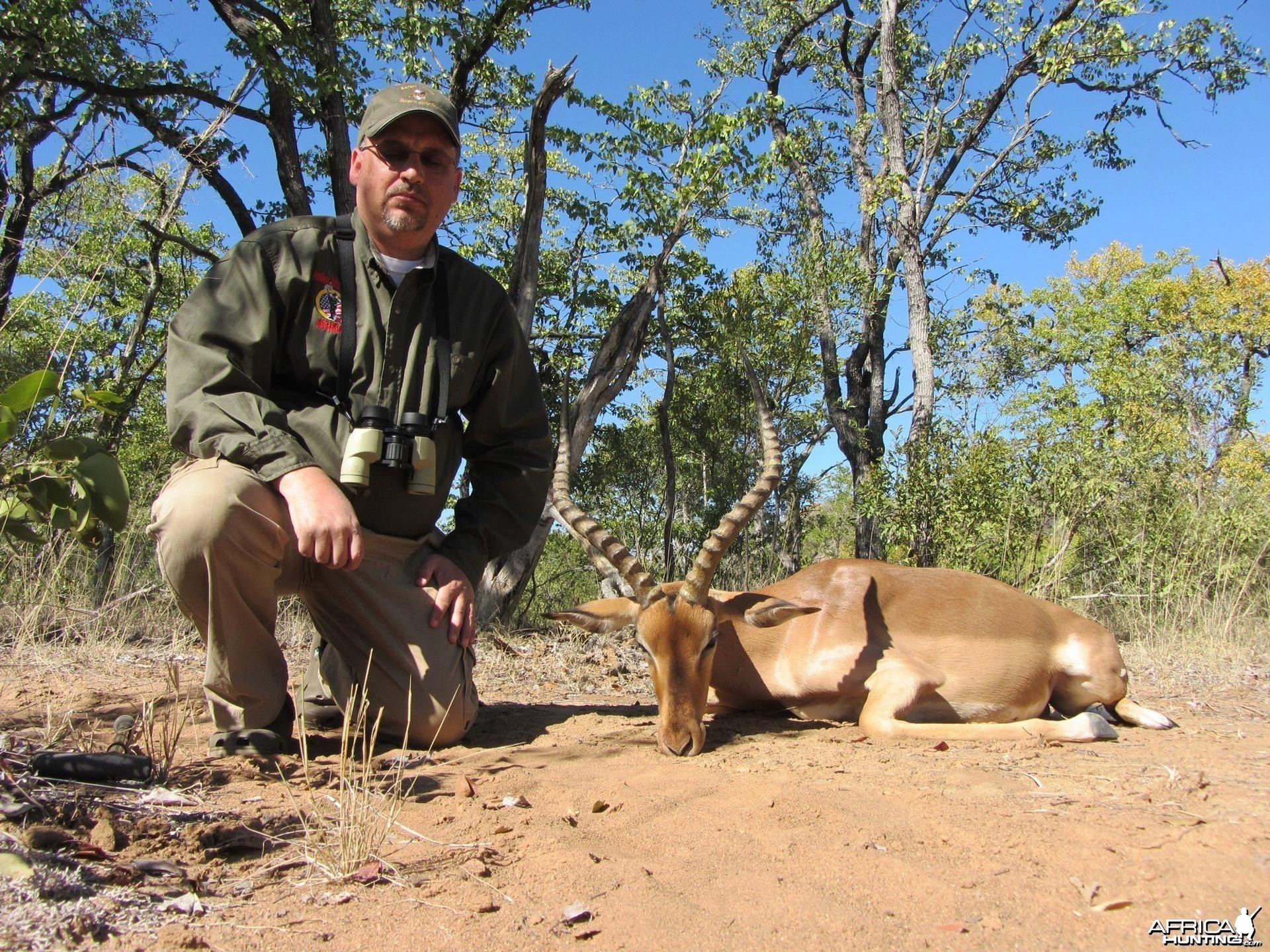 Impala