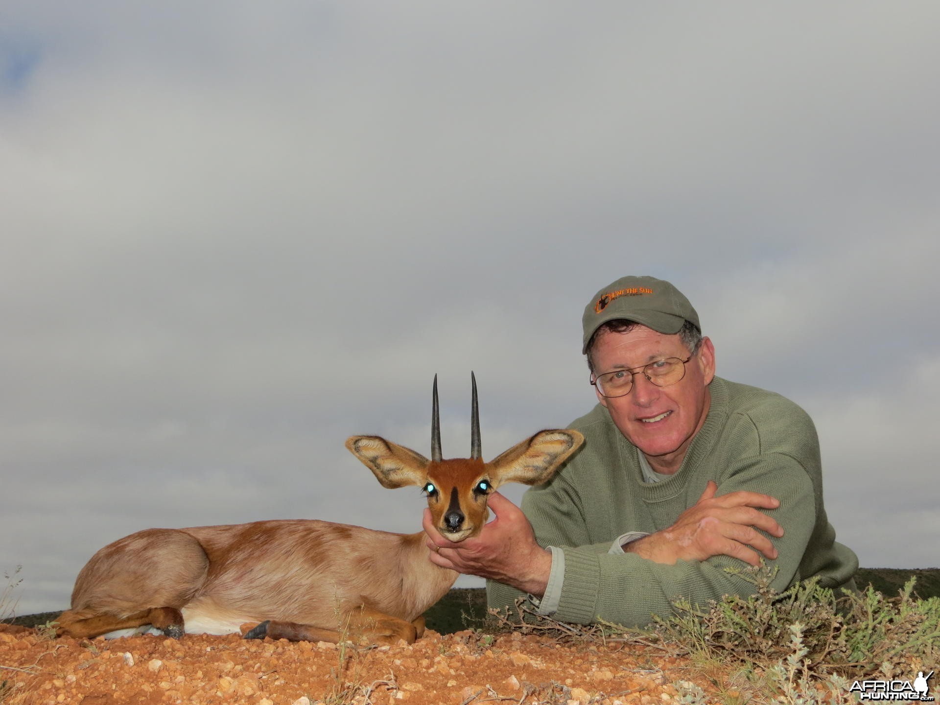 Steenbok South Africa