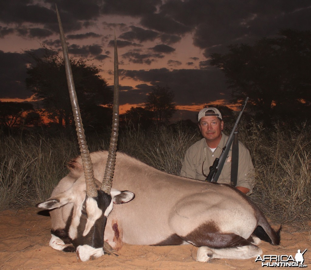 Gemsbok