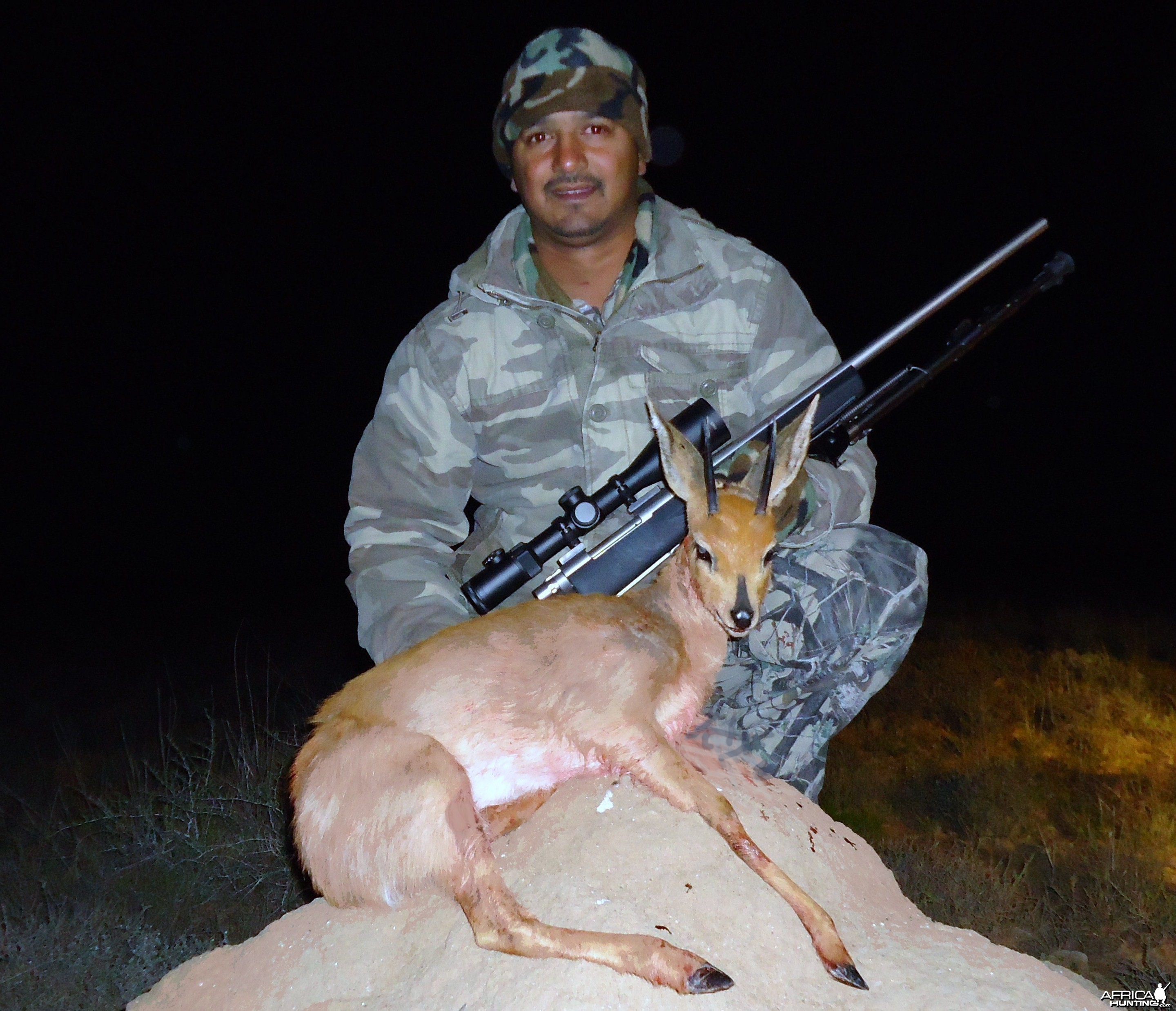 Steenbok