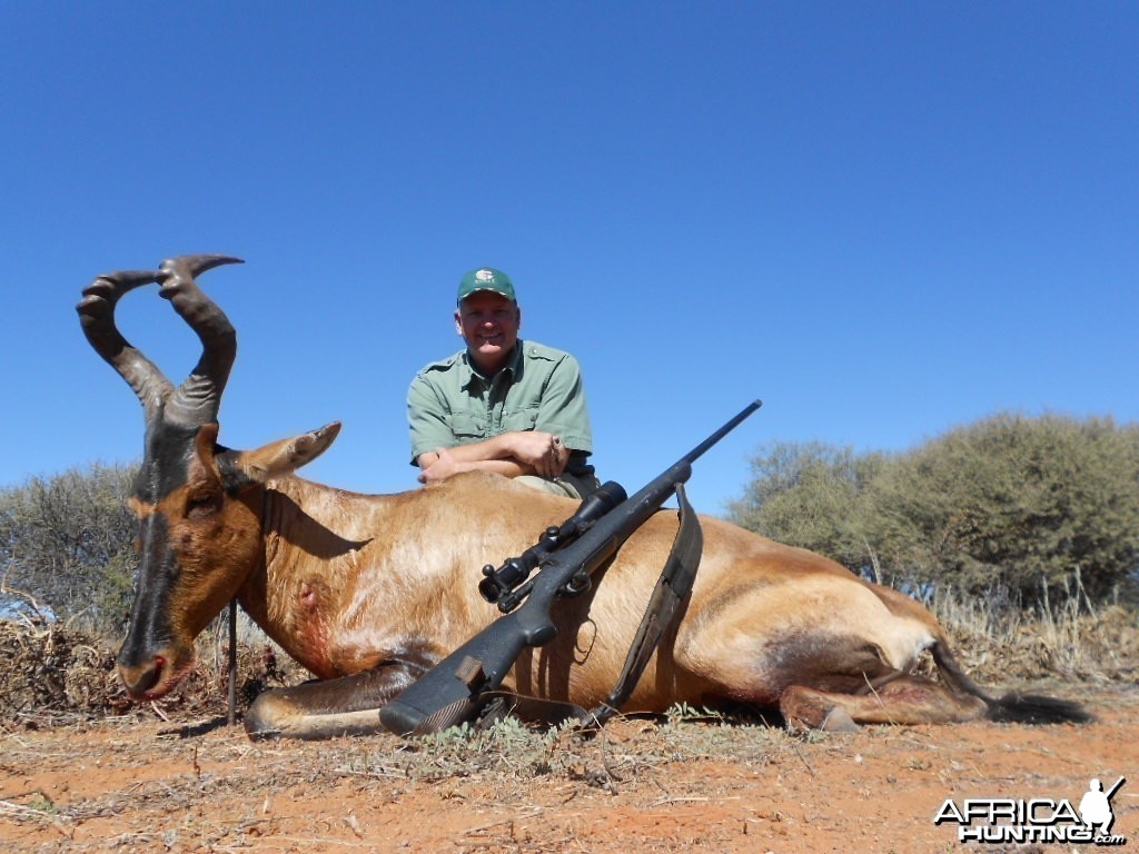 Steve Willbanks Red Hartebeest