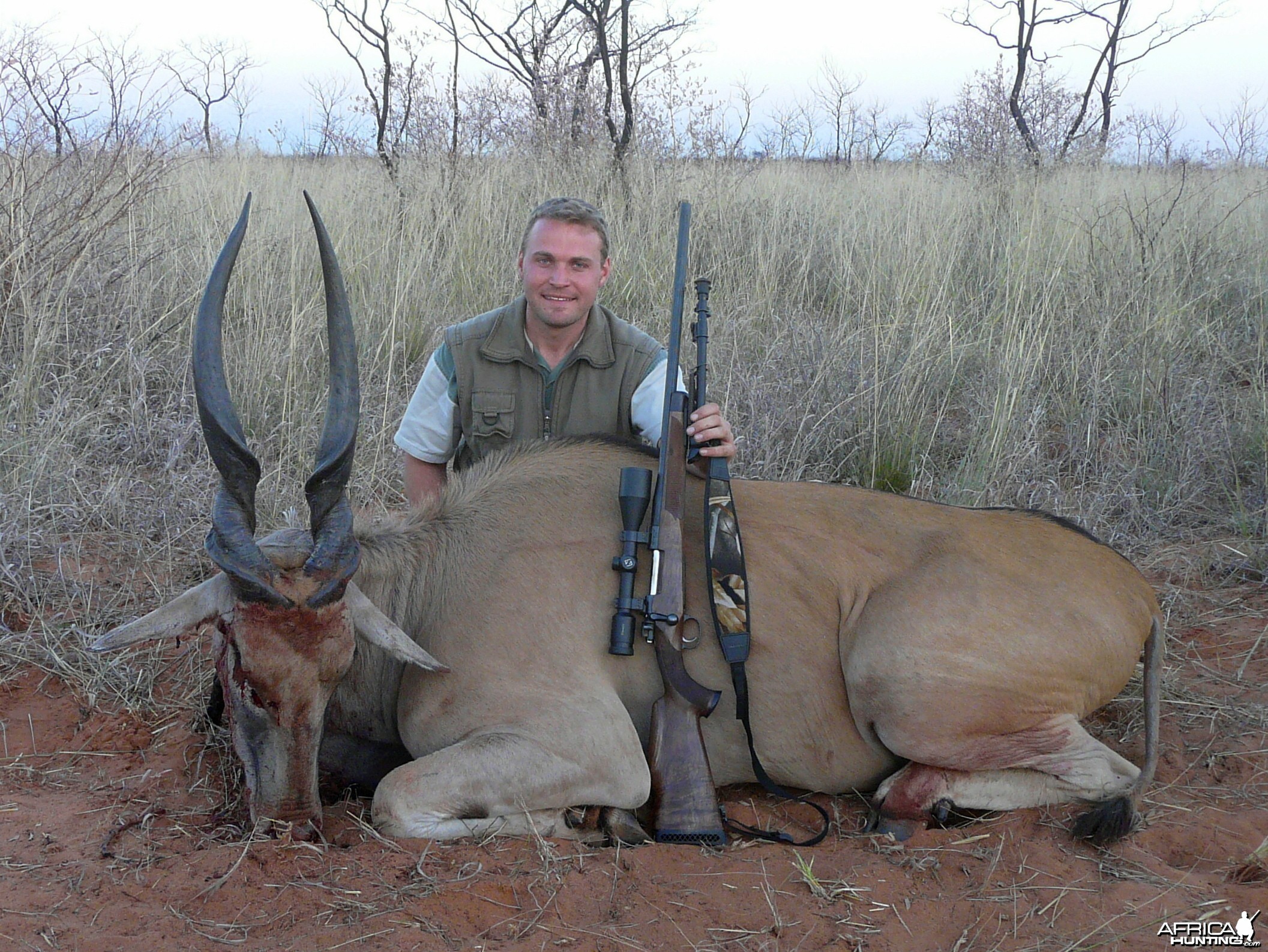 Cape Eland hunted in Namibia, Grootfontein, by Charl Kemp