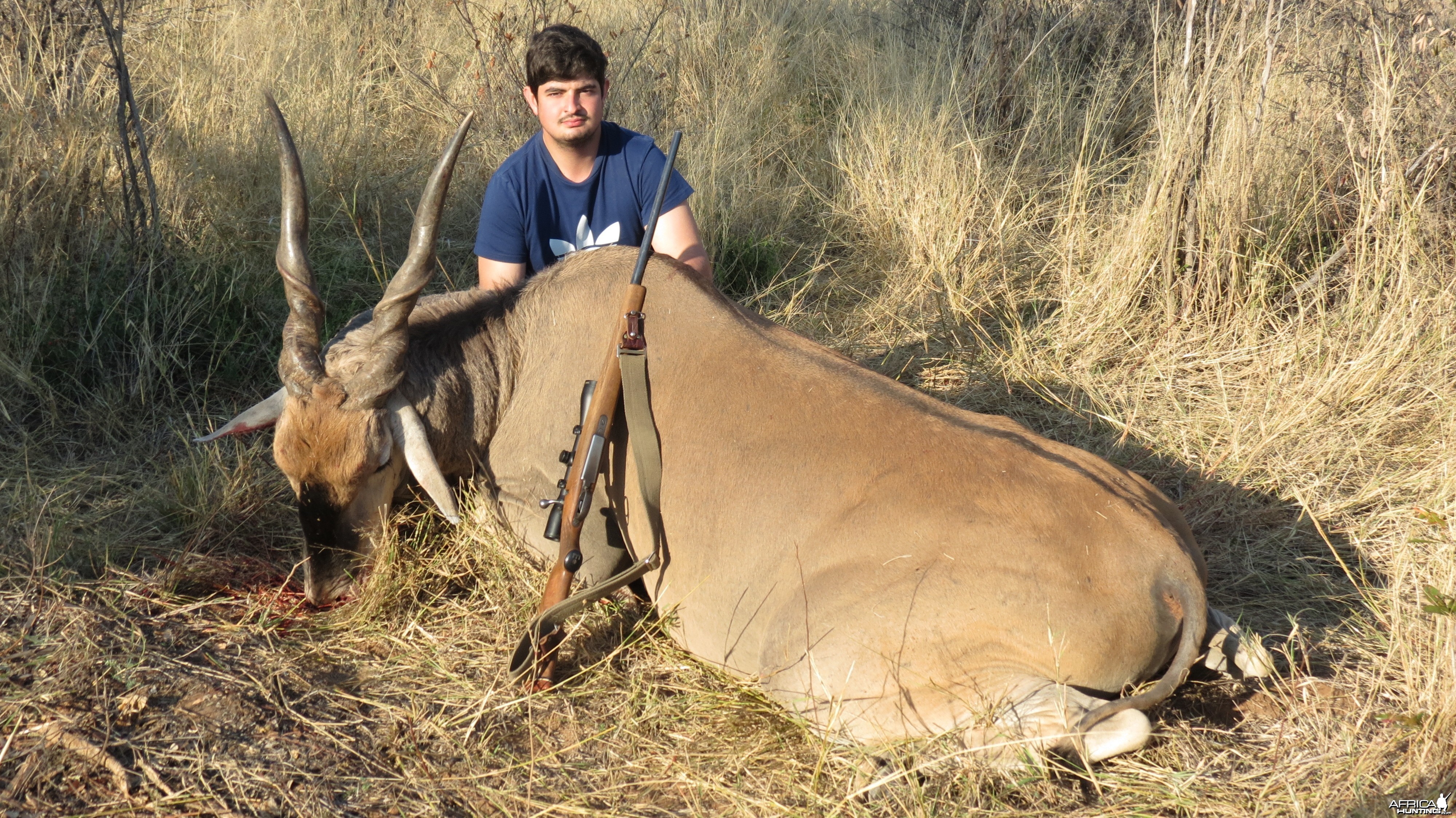 Eland