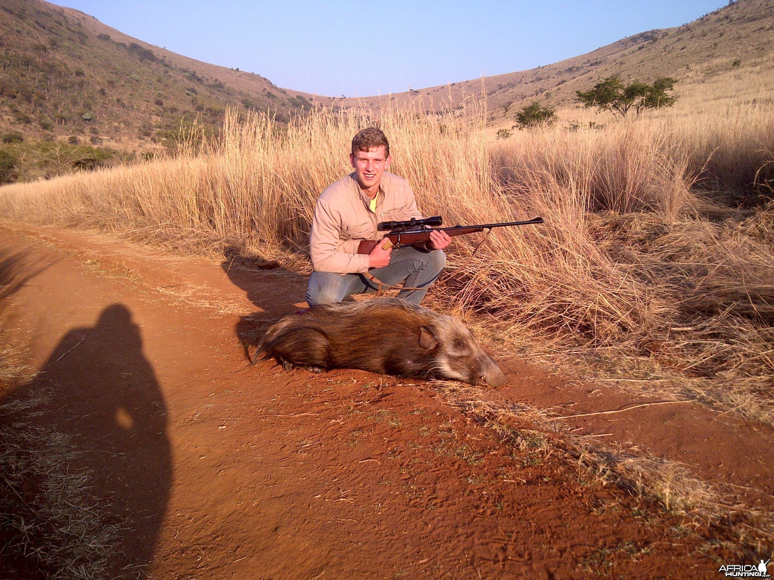 bush pig hunt