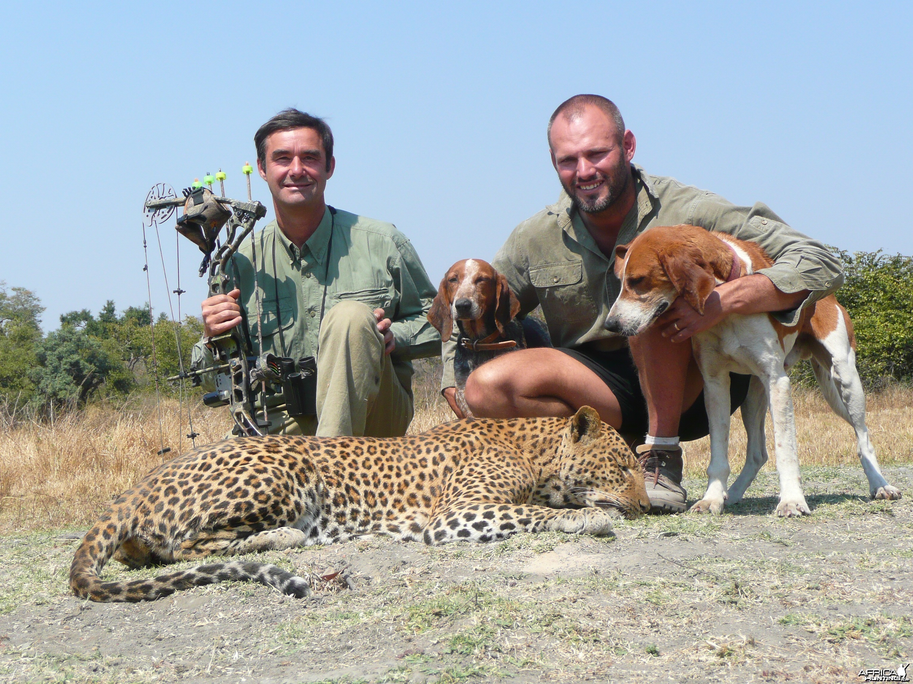 leopard with Tristan Peacock