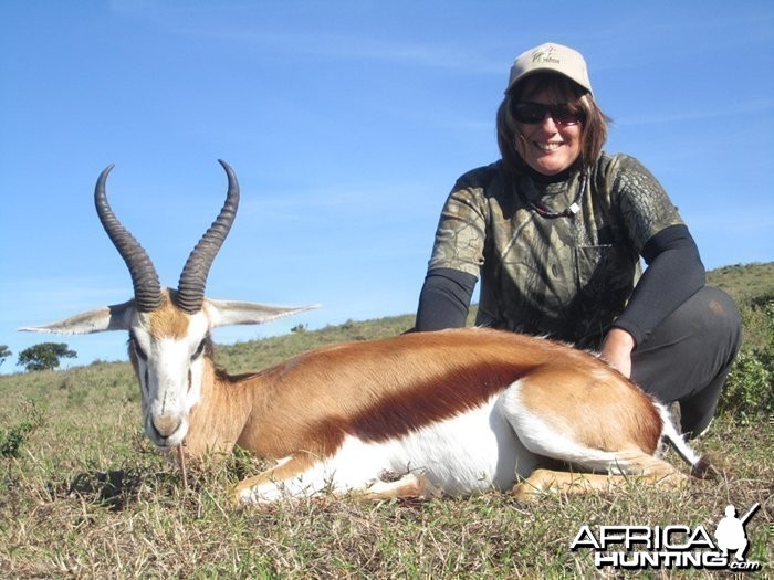 Springbok