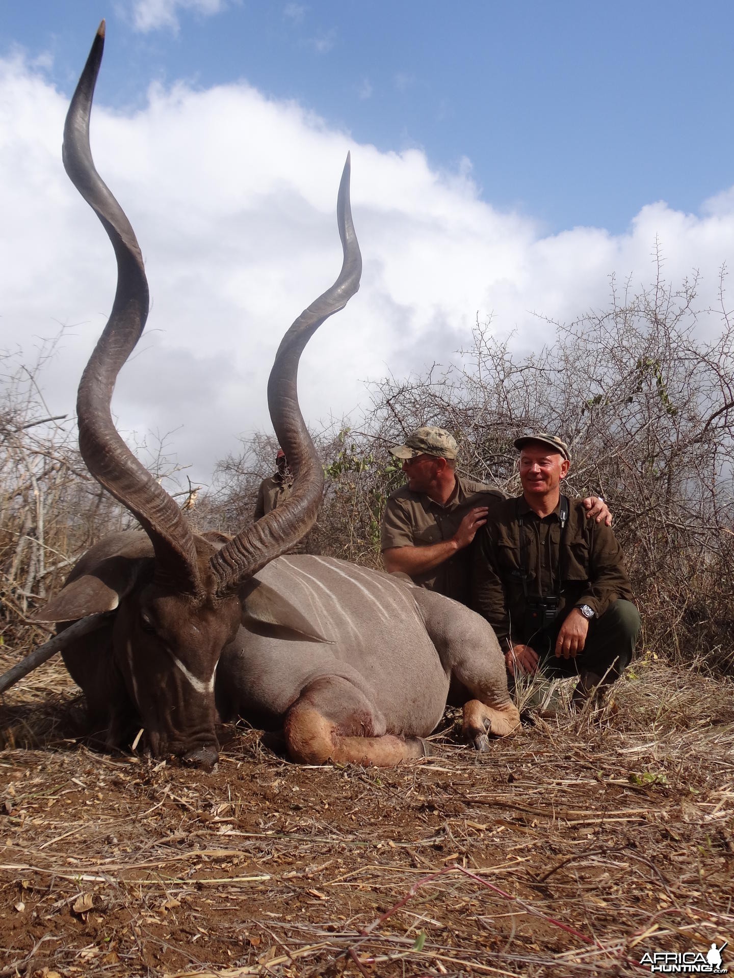 Kudu Tanzania