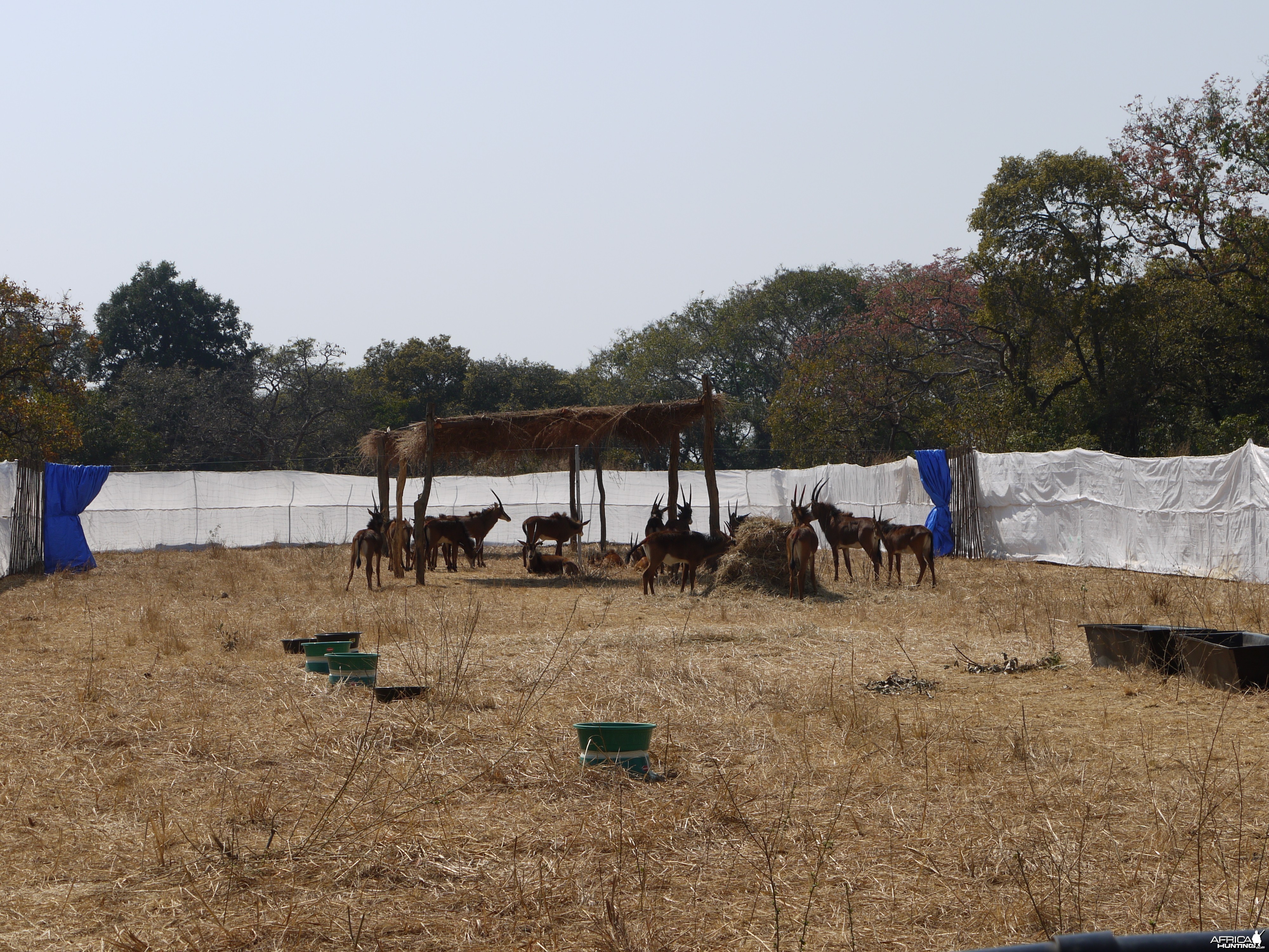 zambia, takeri august 2012