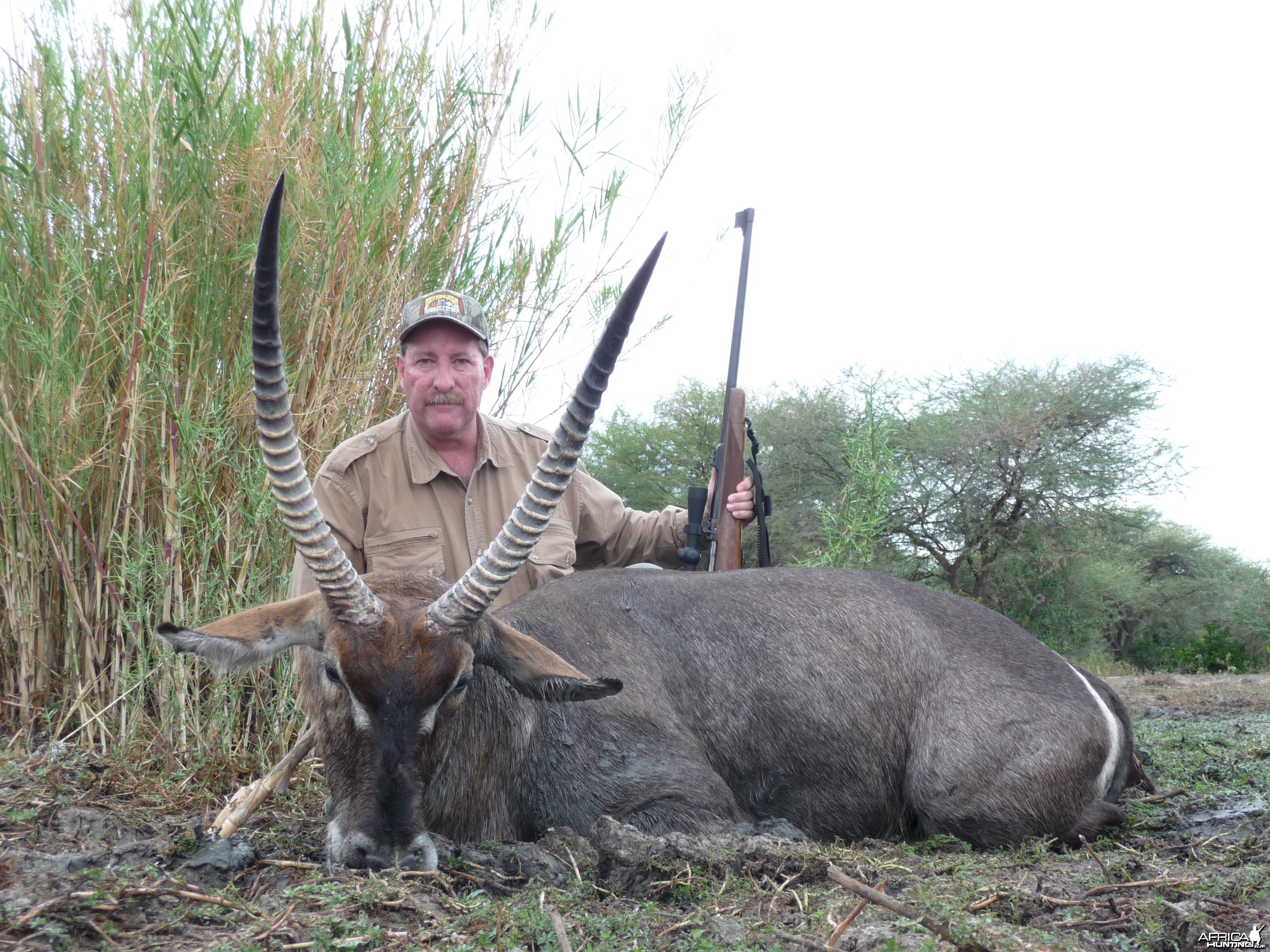 Waterbuck Zim 2010