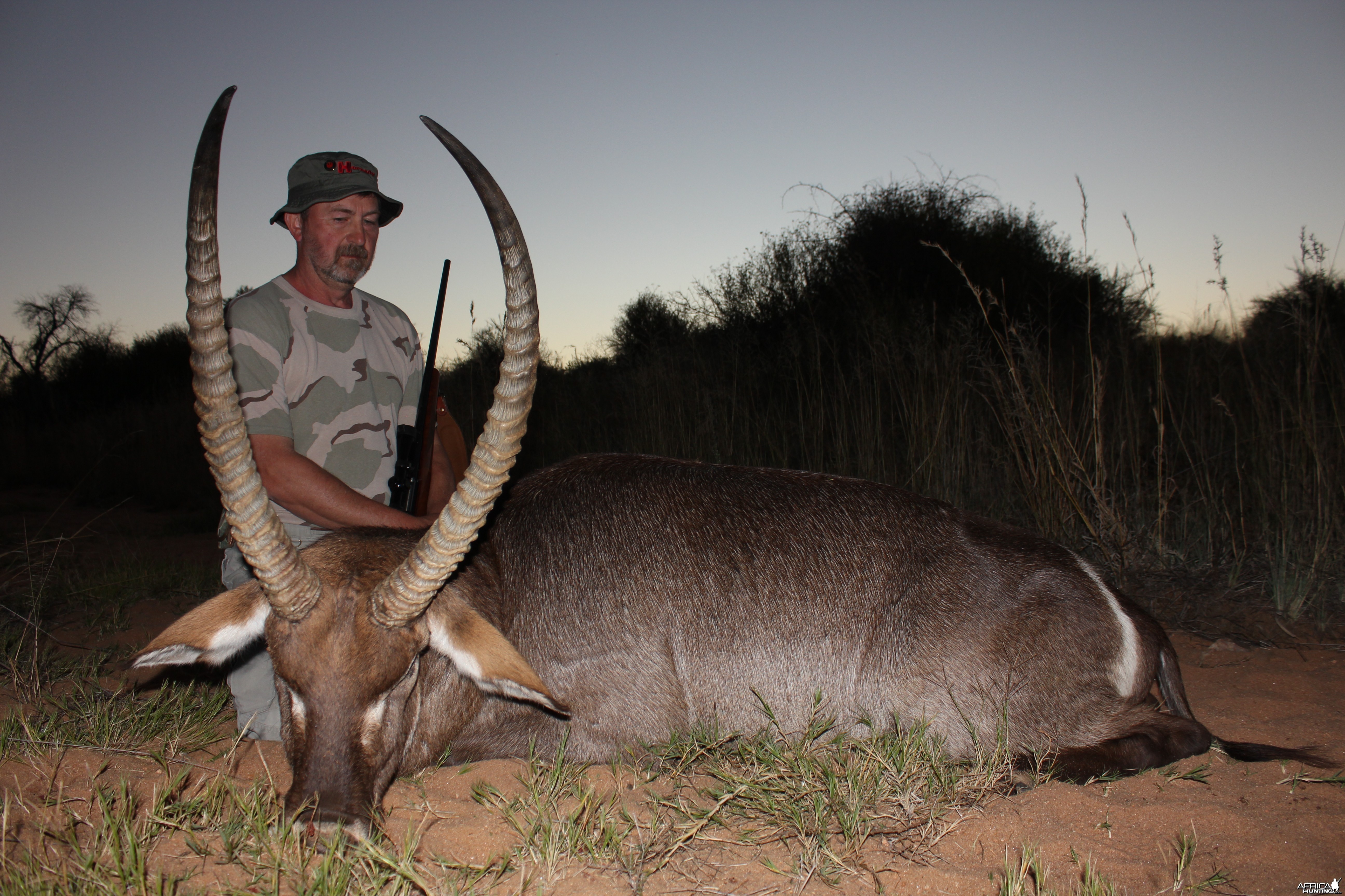 Waterbuck Namibia 2012