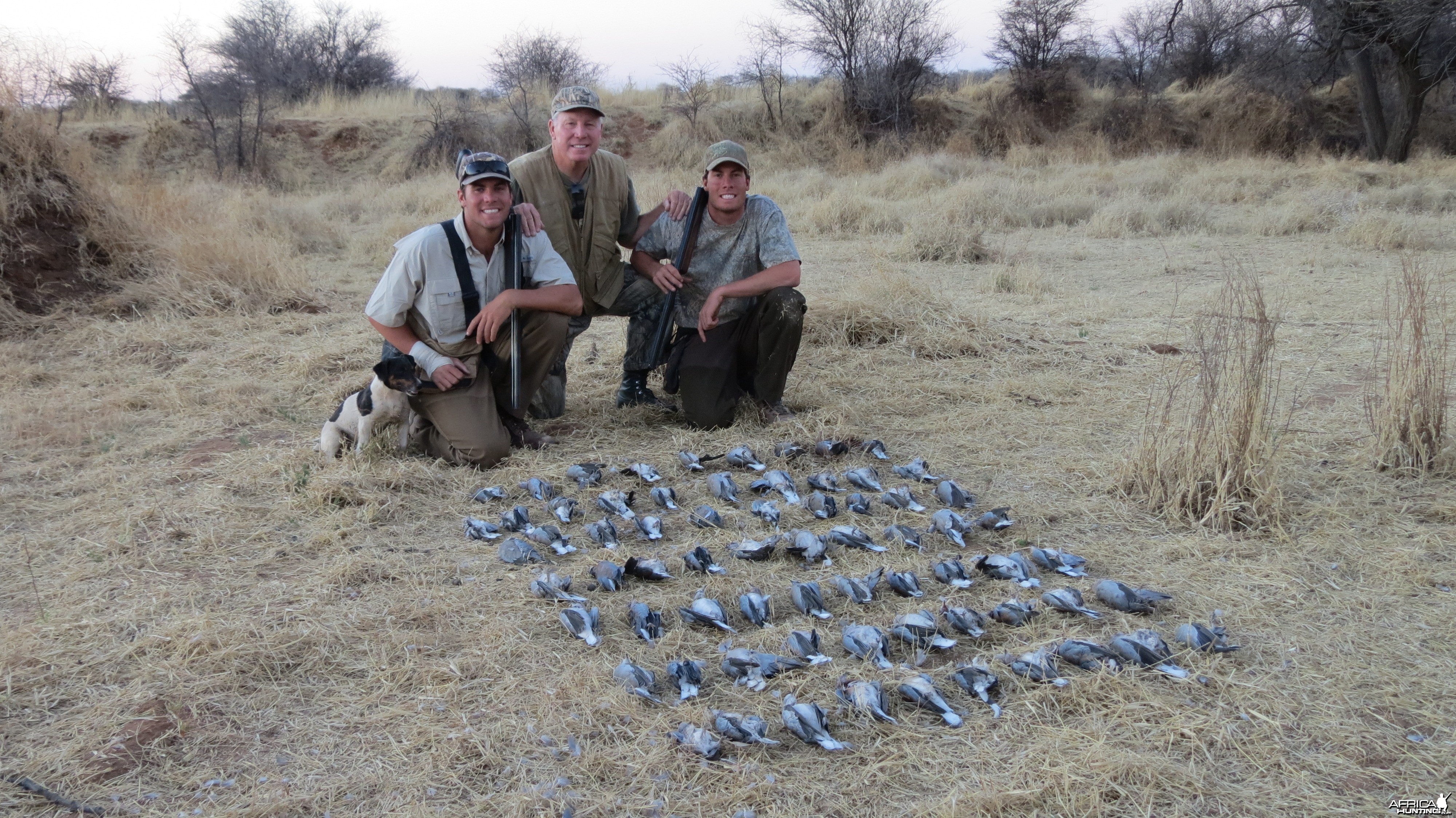 Doves hunted with Ozondjahe Hunting Safaris in Namibia