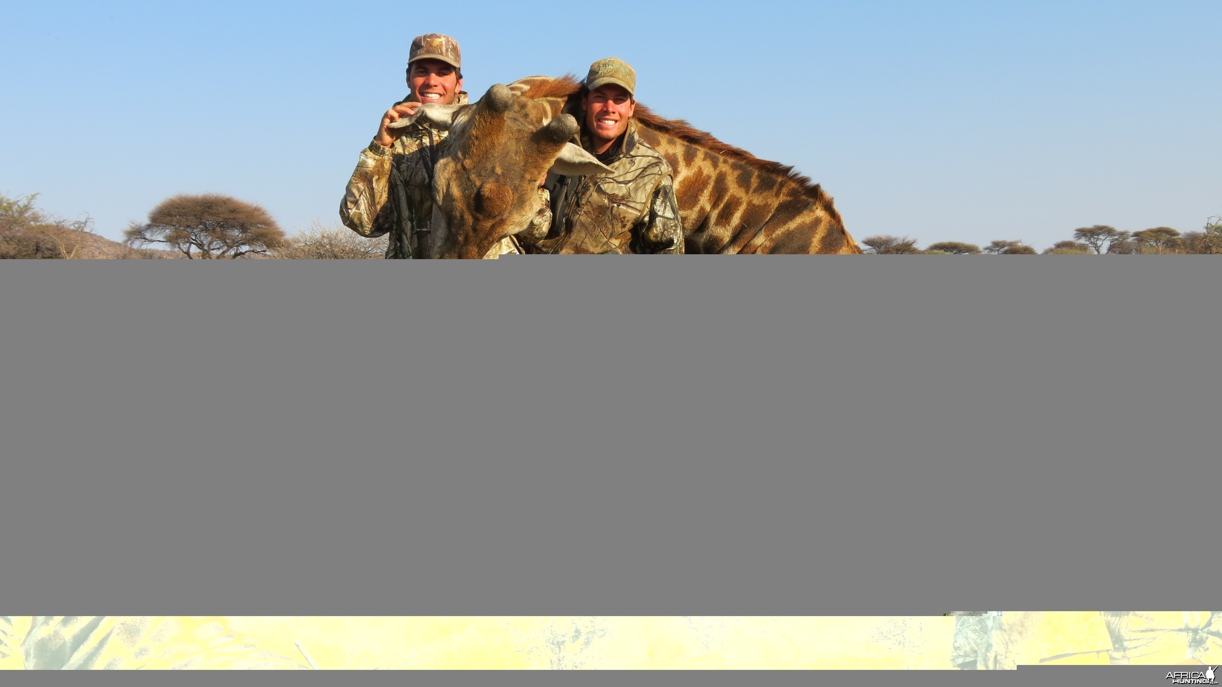 Giraffe hunted with Ozondjahe Hunting Safaris in Namibia