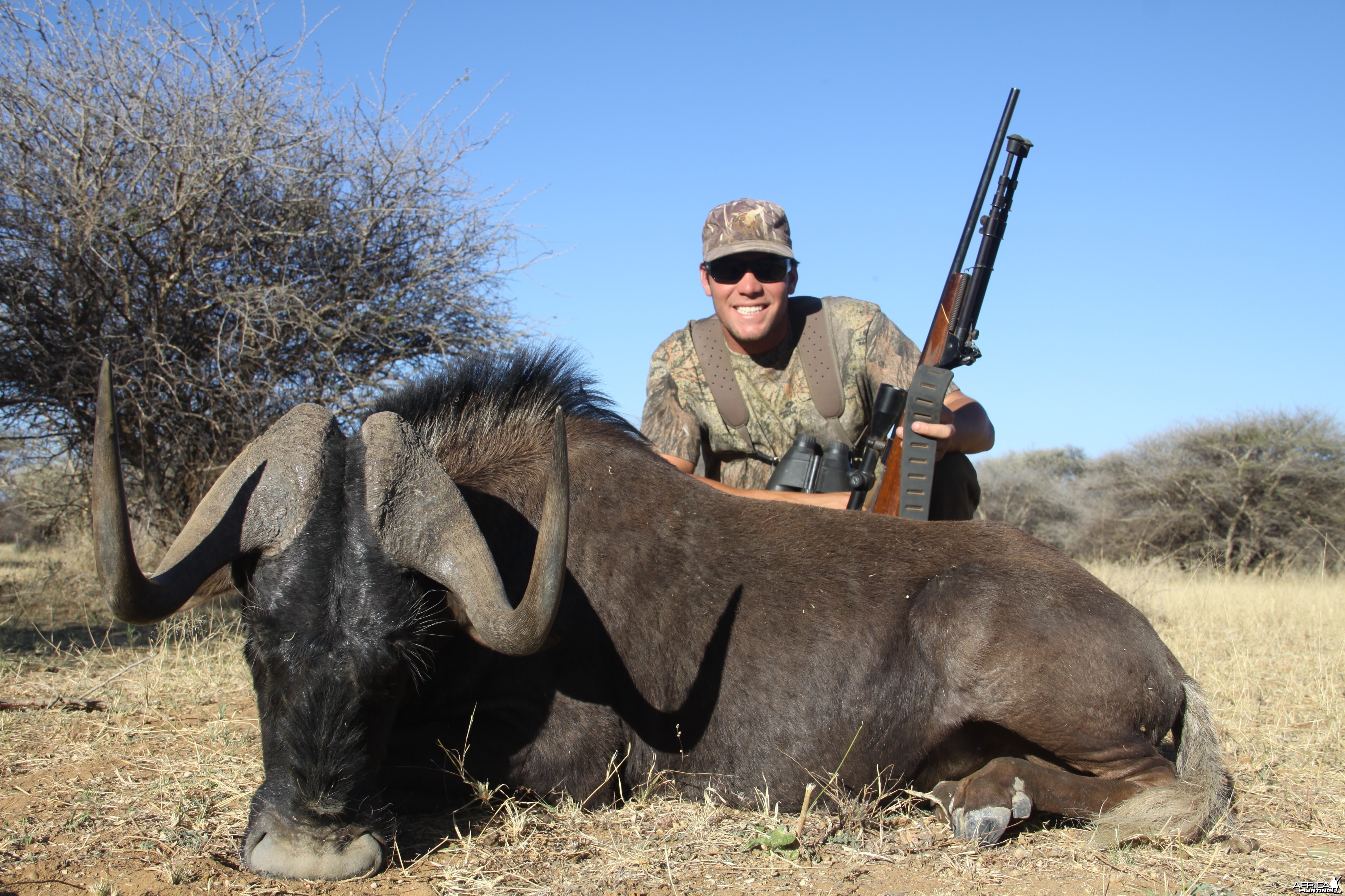 Black Wildebeest hunted with Ozondjahe Hunting Safaris in Namibia