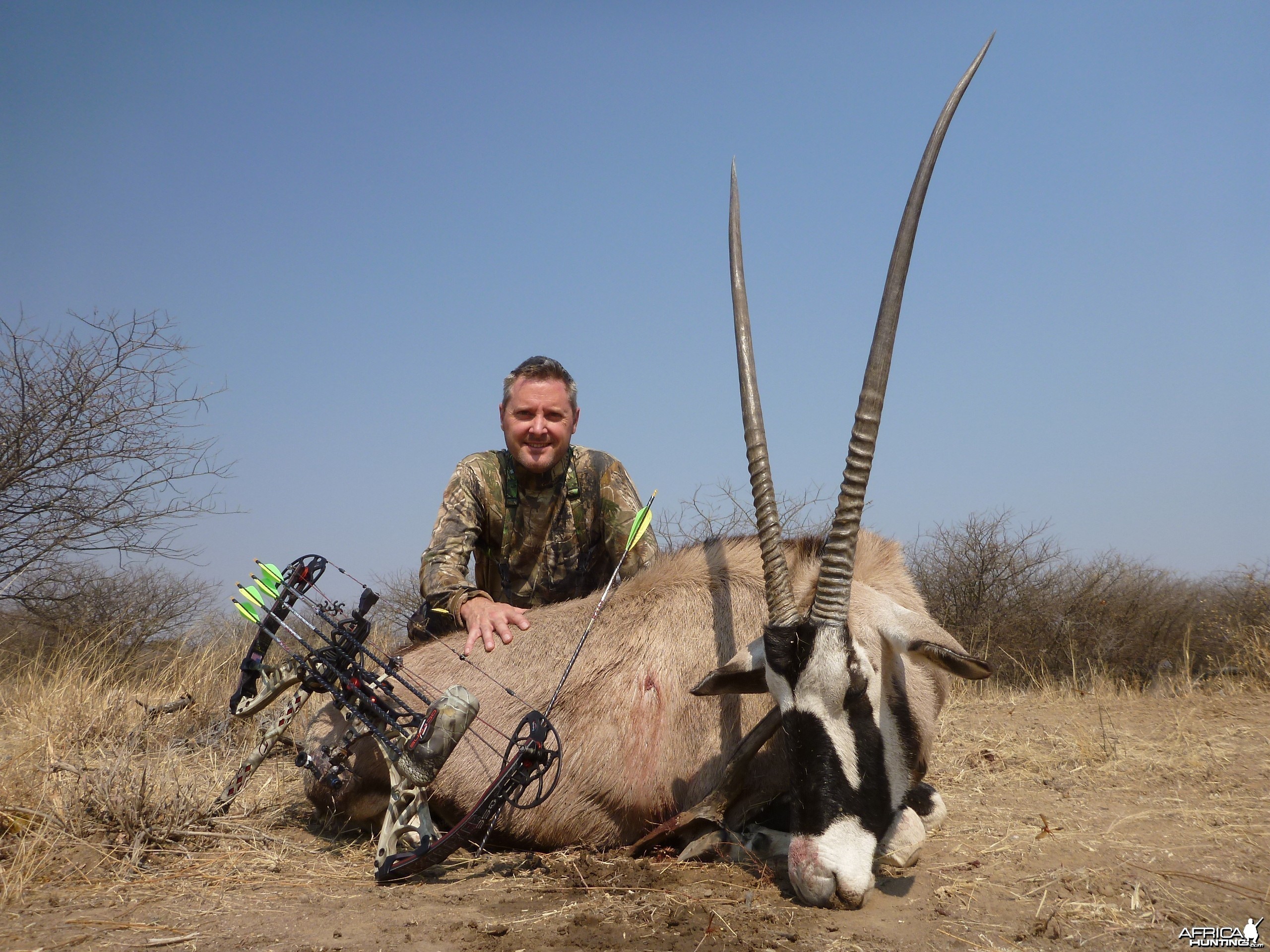 Gemsbok