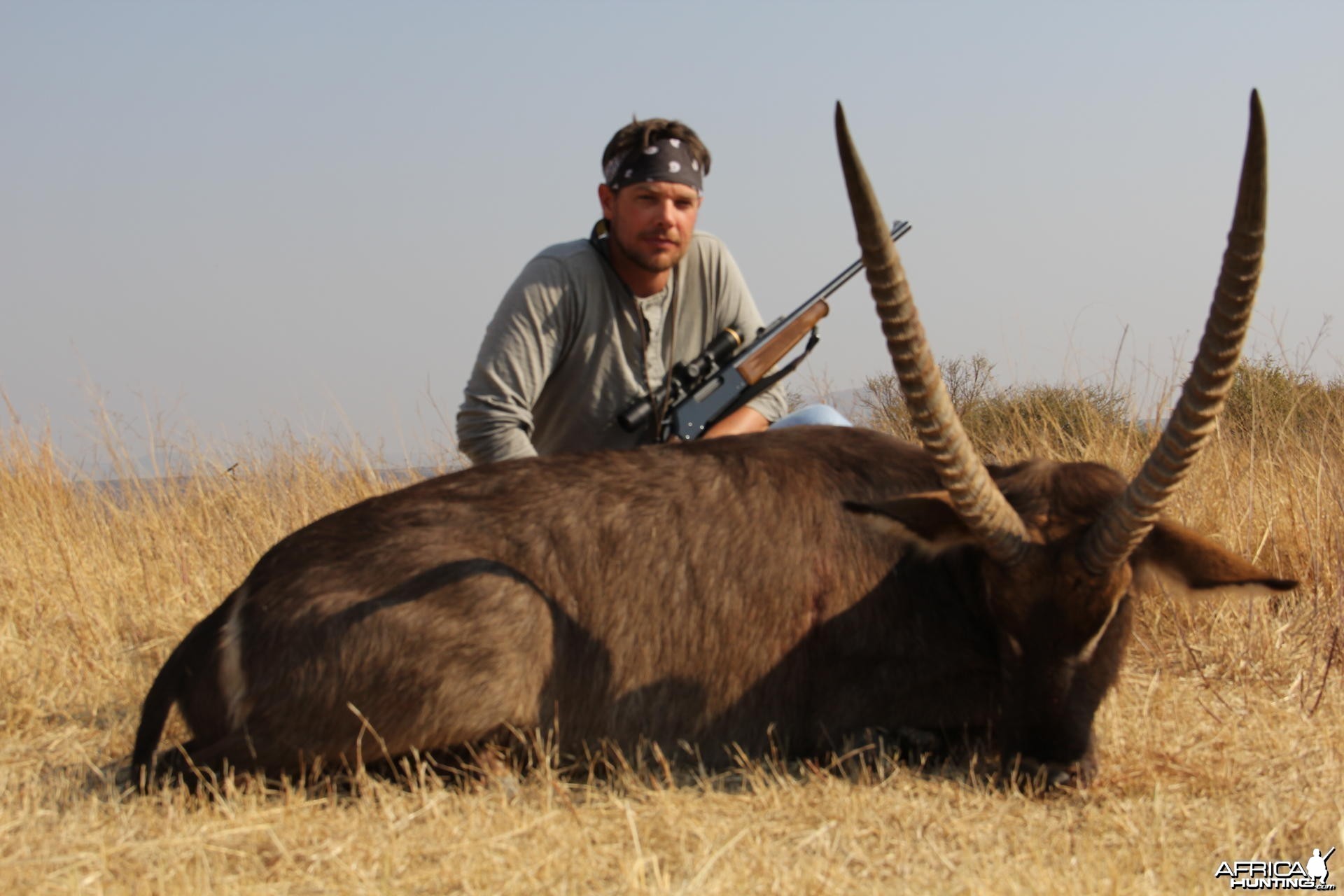 Waterbuck