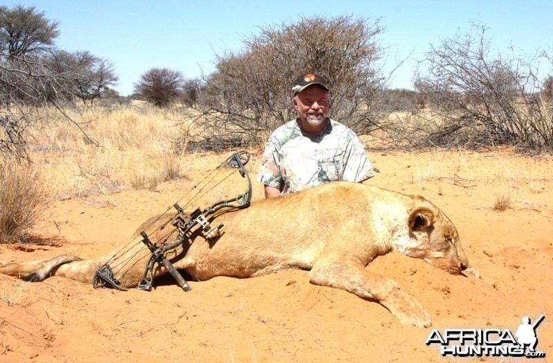 Lioness in the Kalahari!