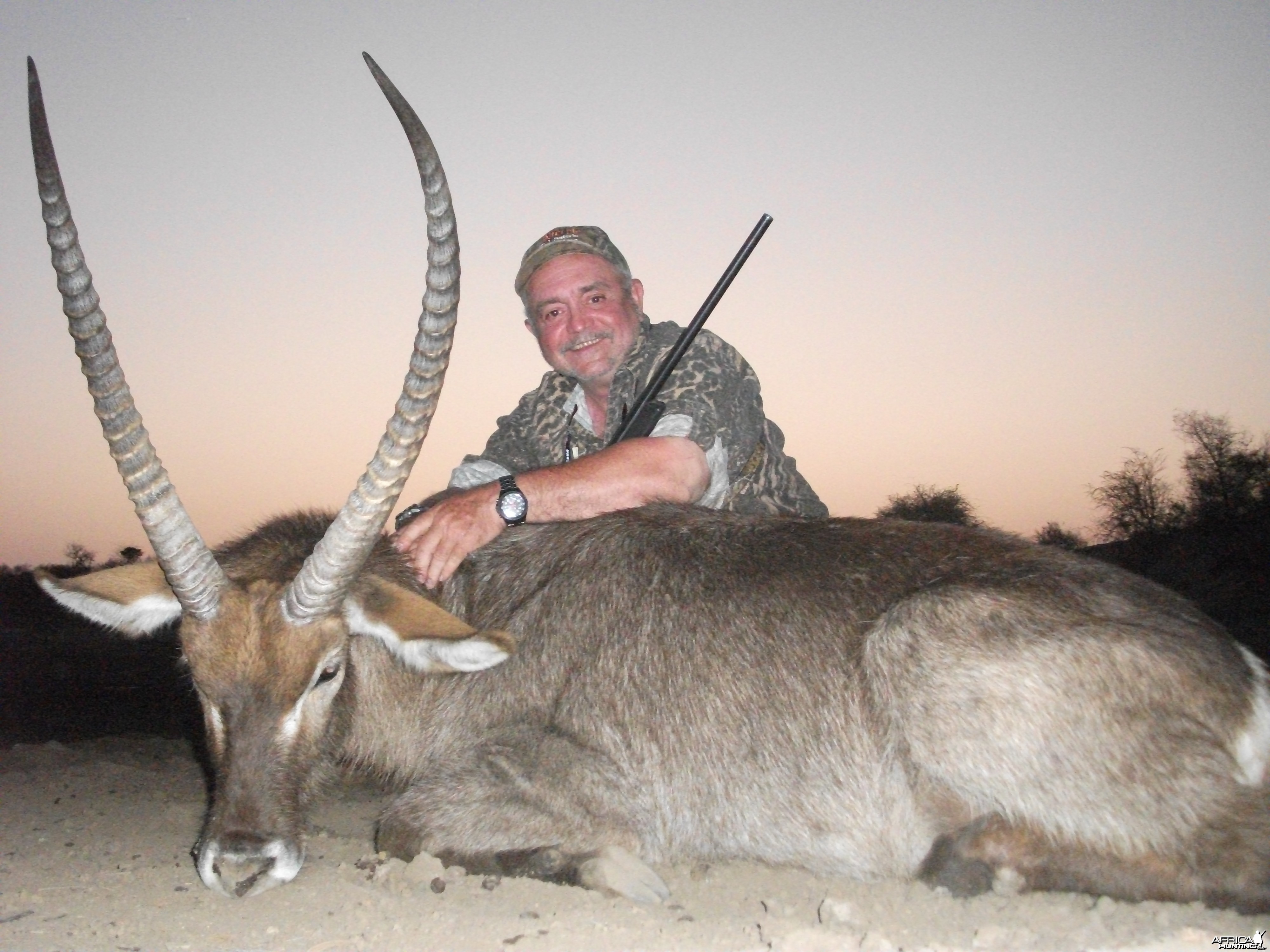 Waterbuck South Africa