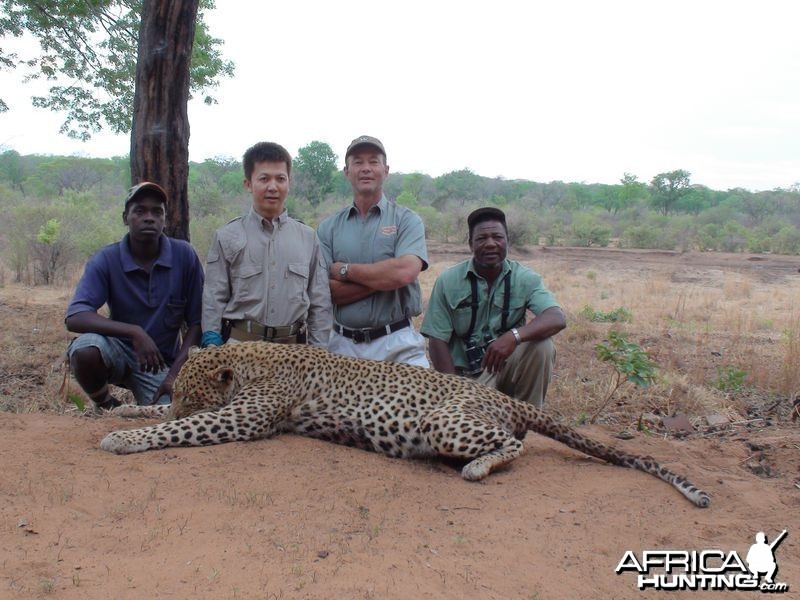 Zimbabwe's Leopard