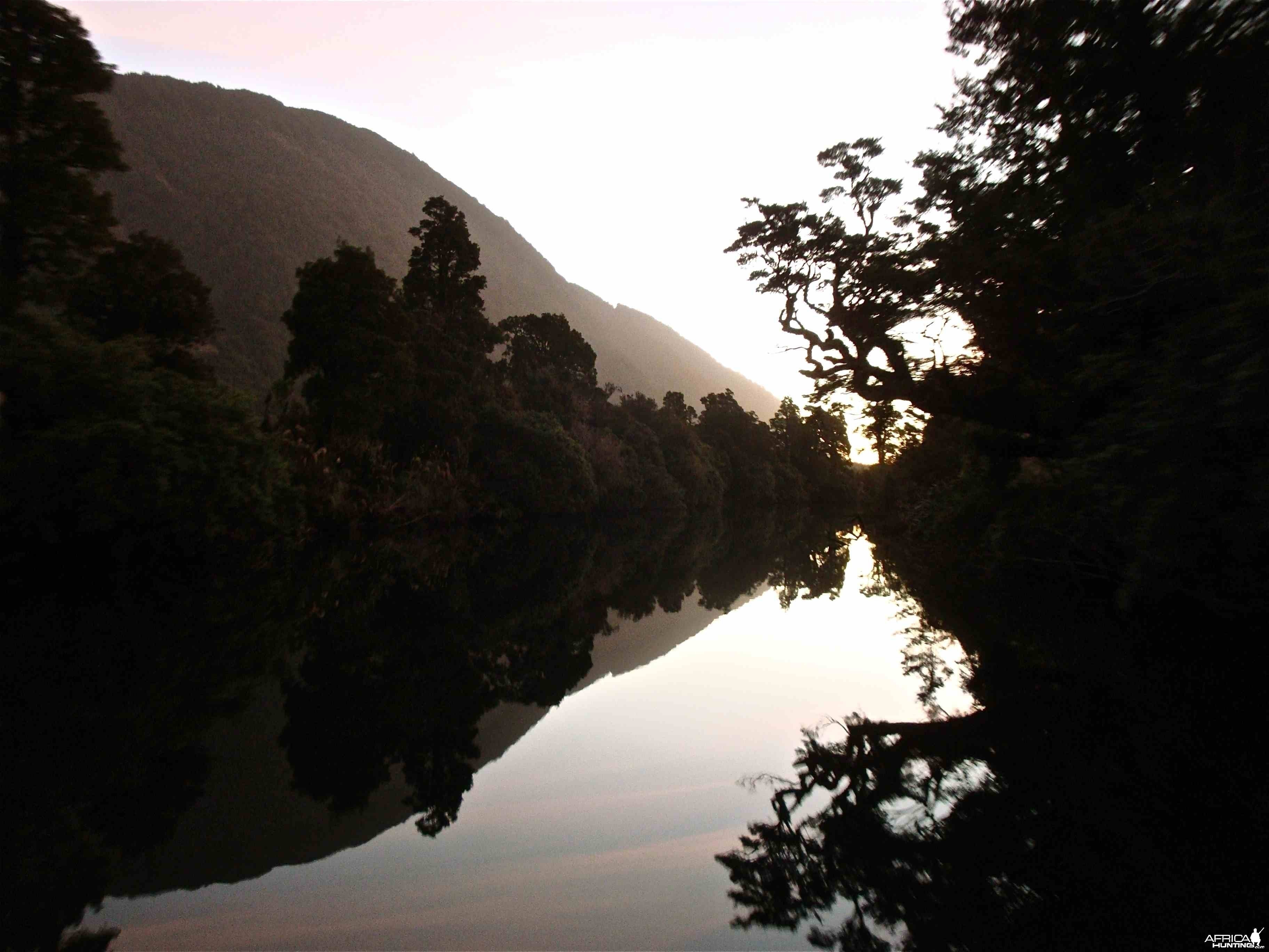 Fiordland reflection. Boating back to camp after a hard day chasing Red Sta