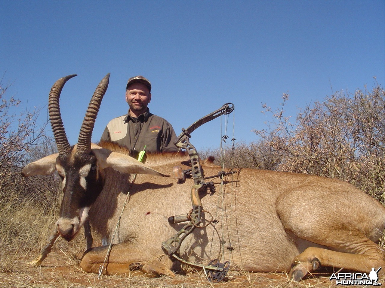 Roan with bow, taken with Warthog Safaris