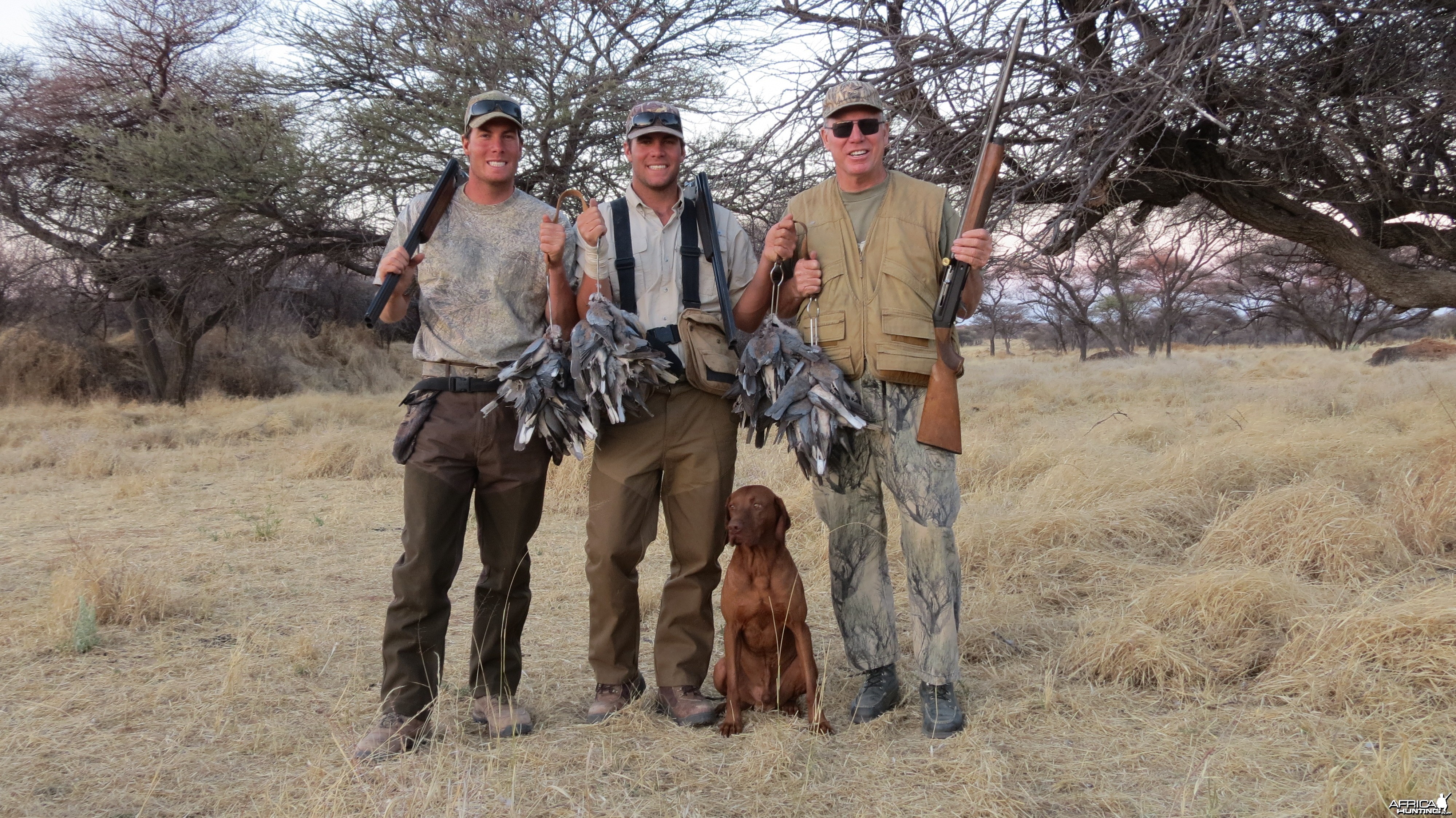 Wingshooting Dove in Namibia