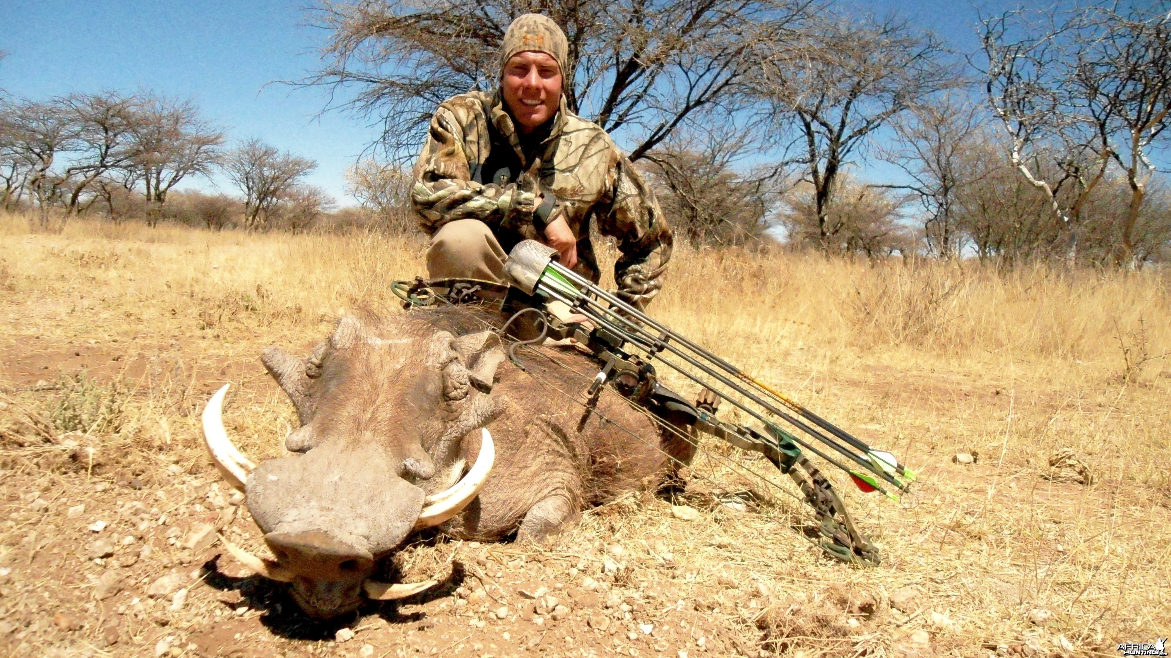 Bowhunting Warthog in Namibia