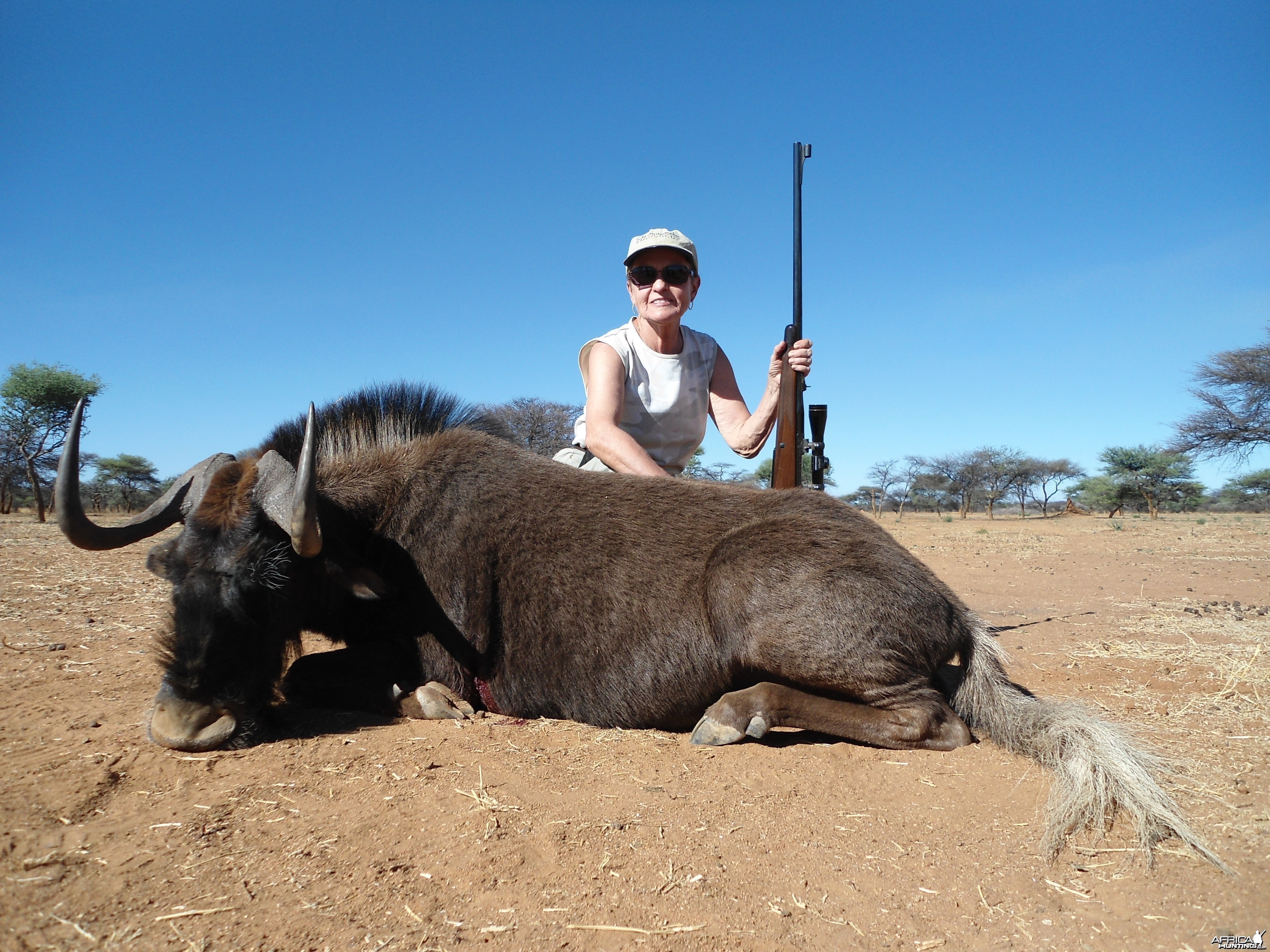 Hunting Black Wildebeest in Namibia