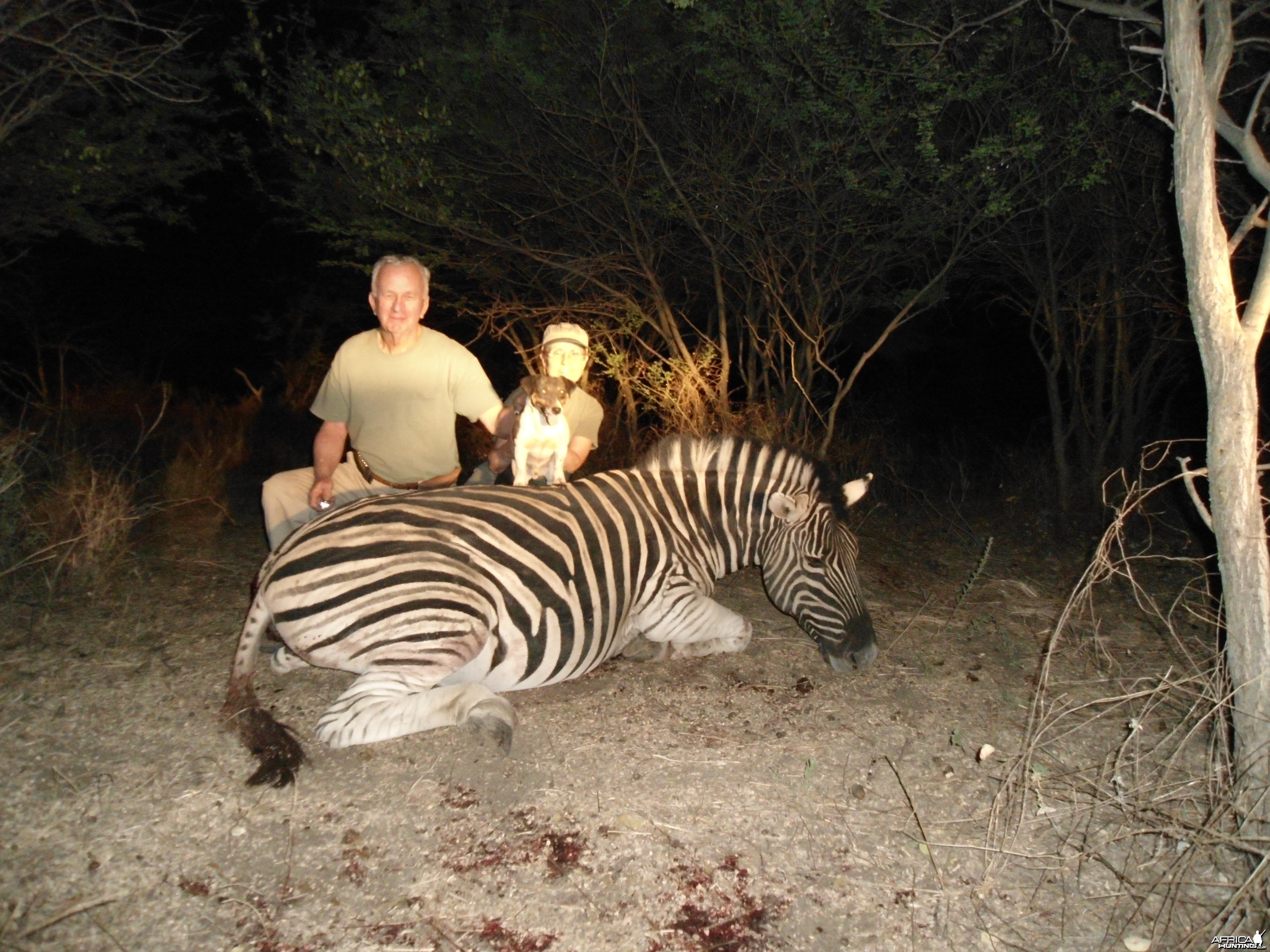 Hunting Burchell's Zebra in Namibia