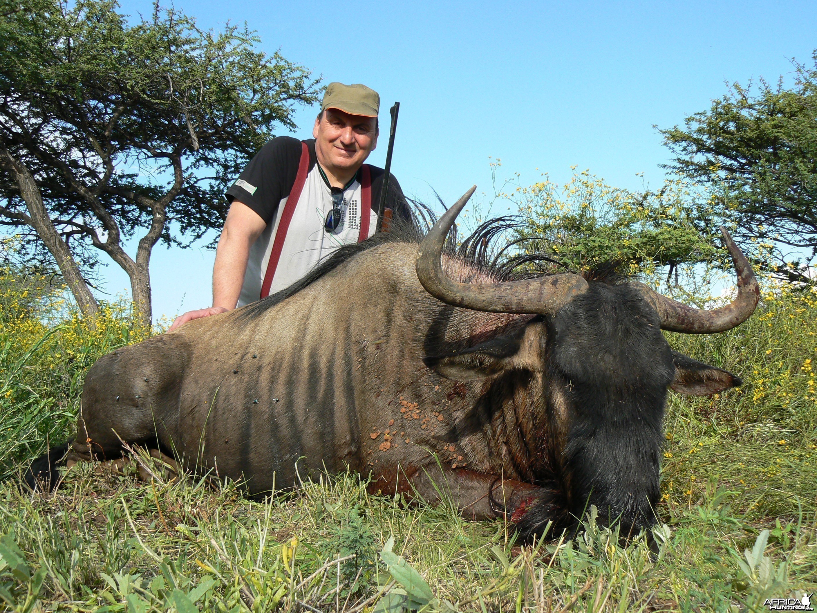 Hunting Blue Wildebeest in Namibia