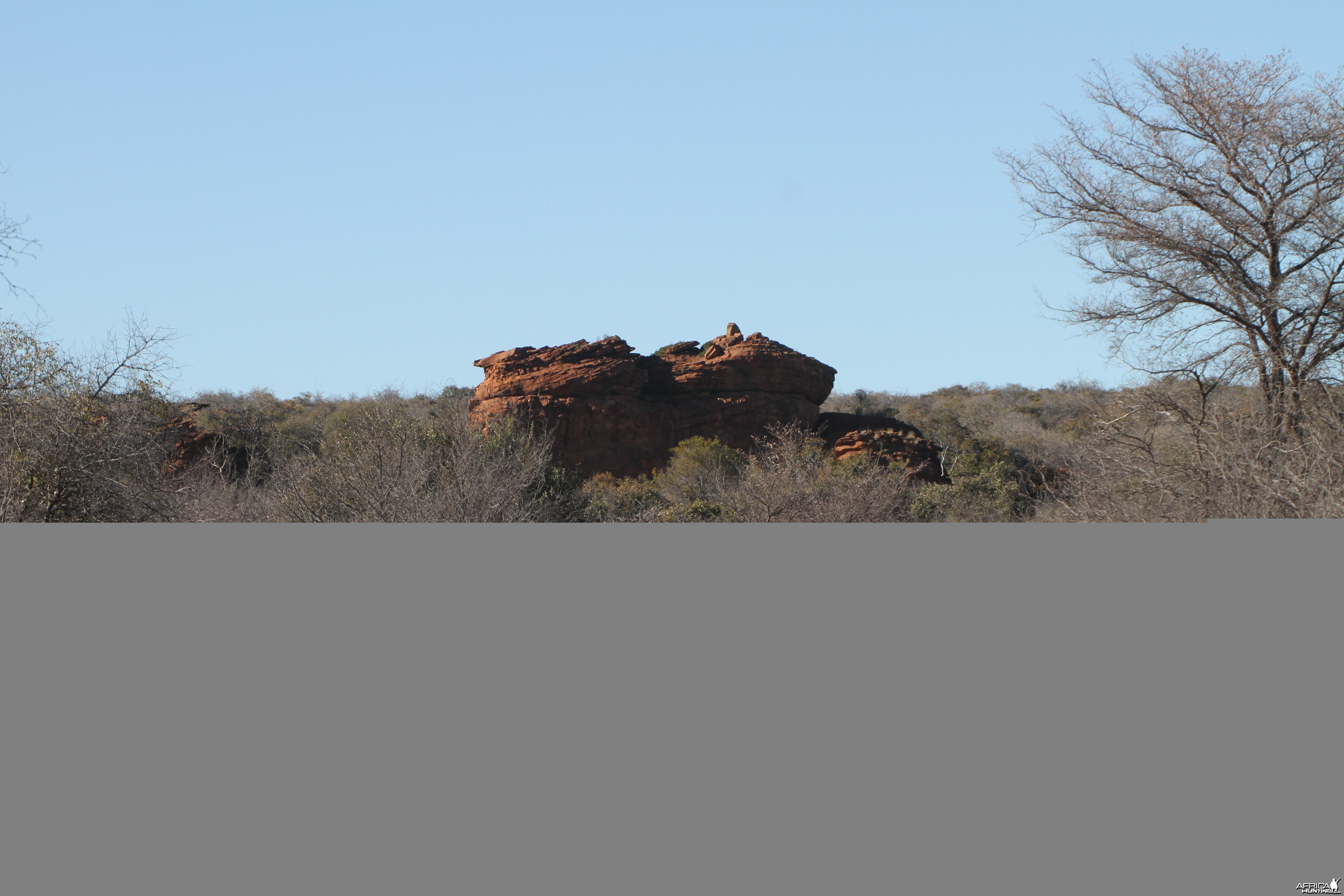 Waterberg National Park Namibia