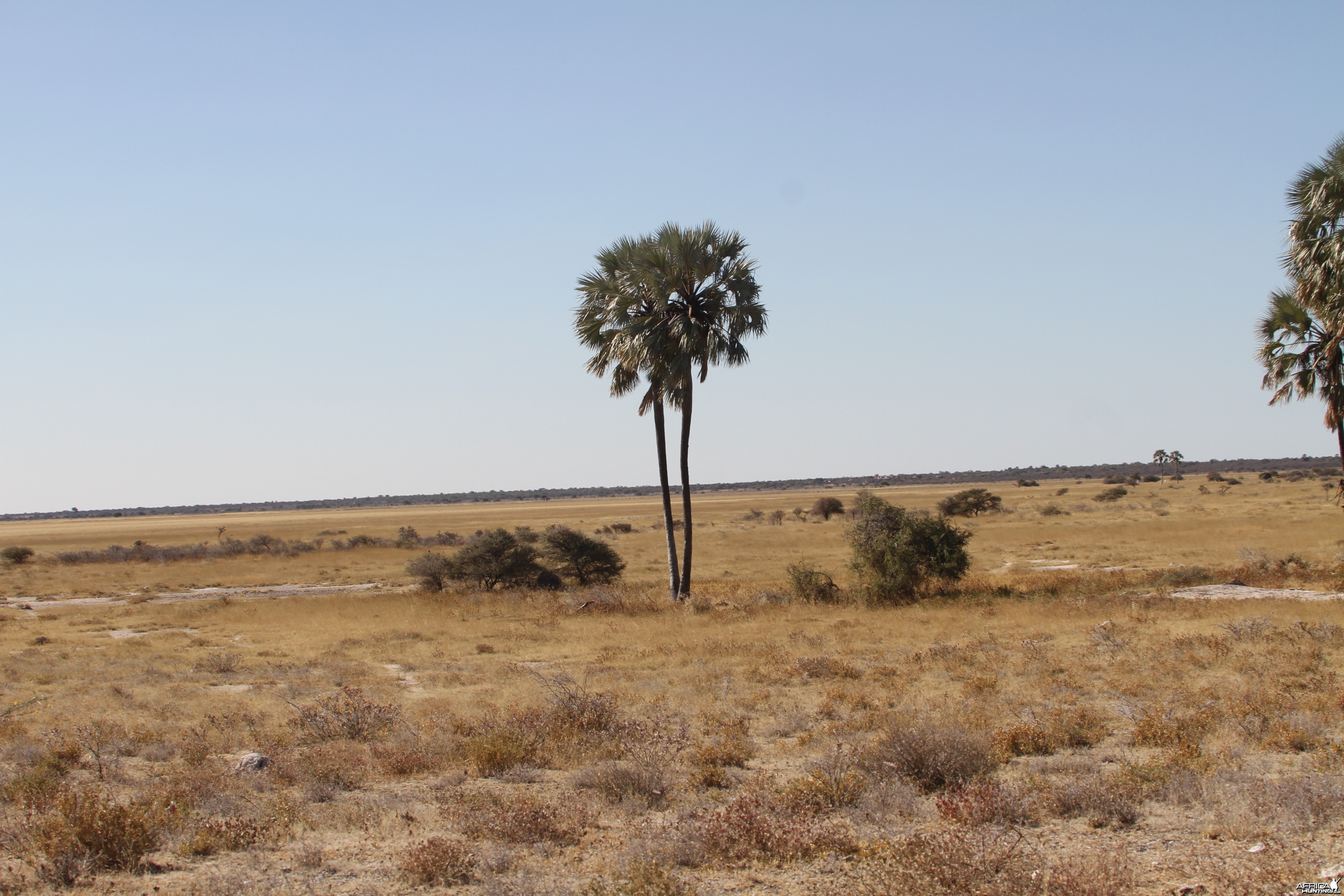 Etosha National Park